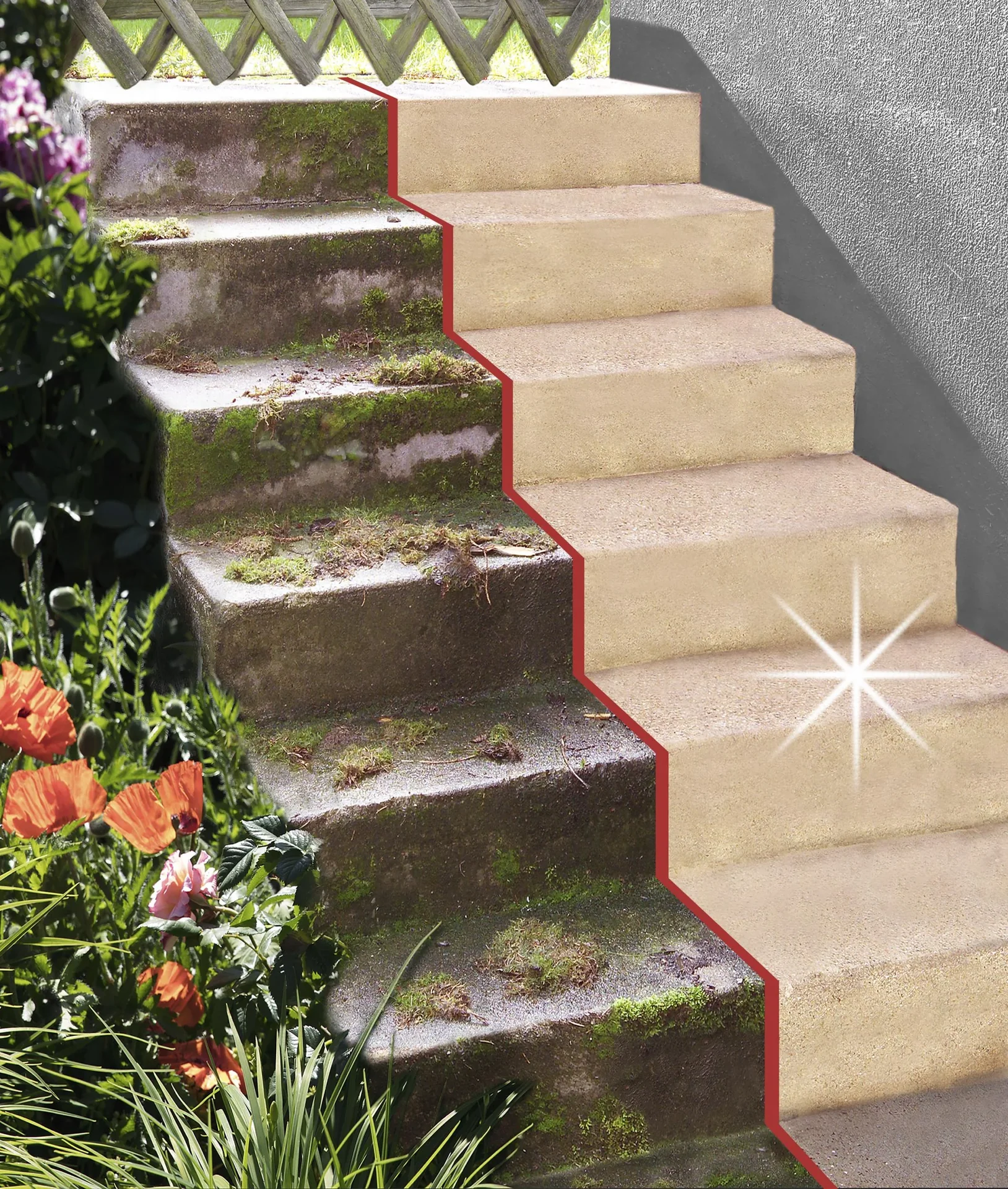 Algen- und Grünbelag Entferner, Konzentrat, 1000 ml ausreichend für 100 - 150 qm Fläche - 0