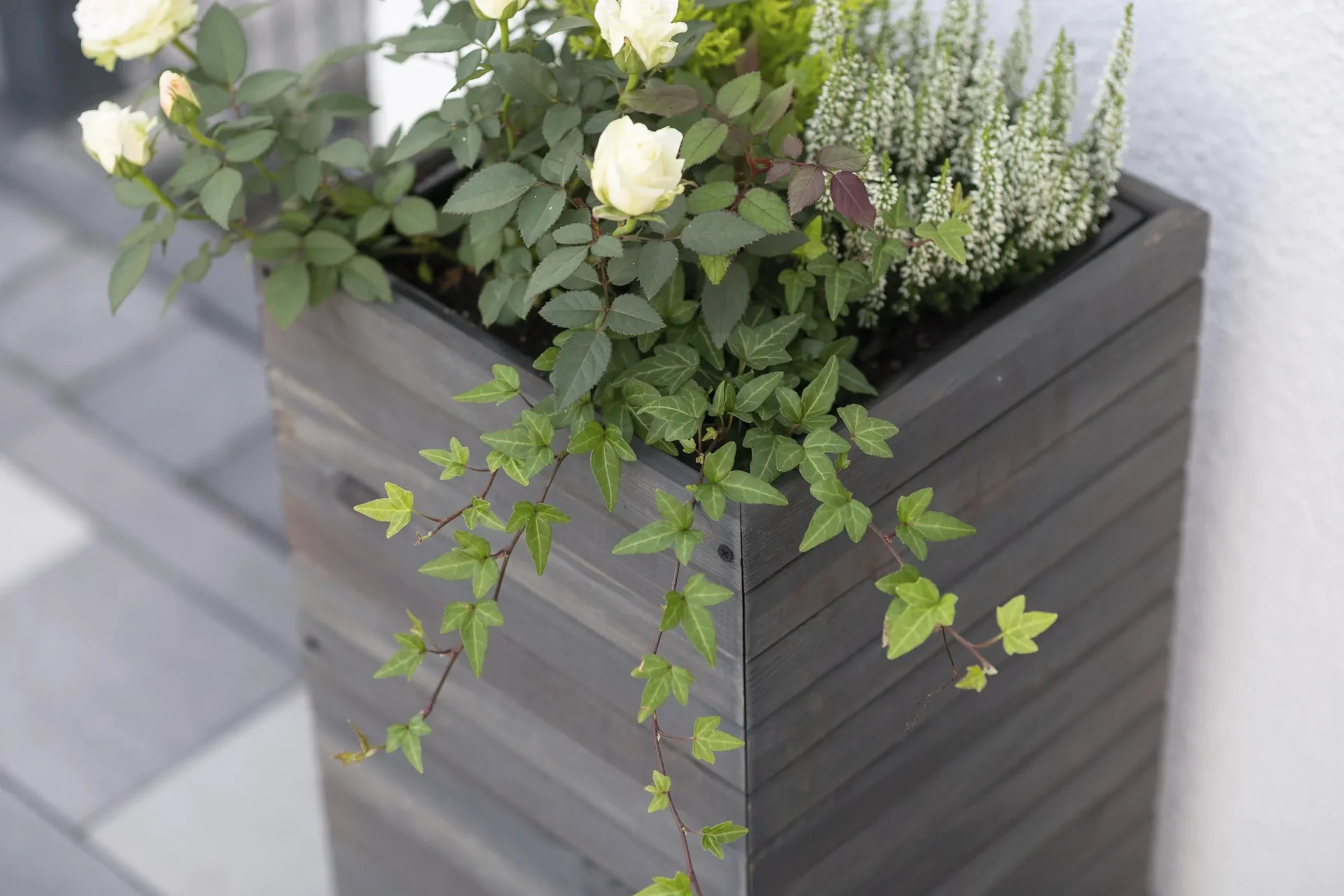 Pflanzkübel Mono - 1