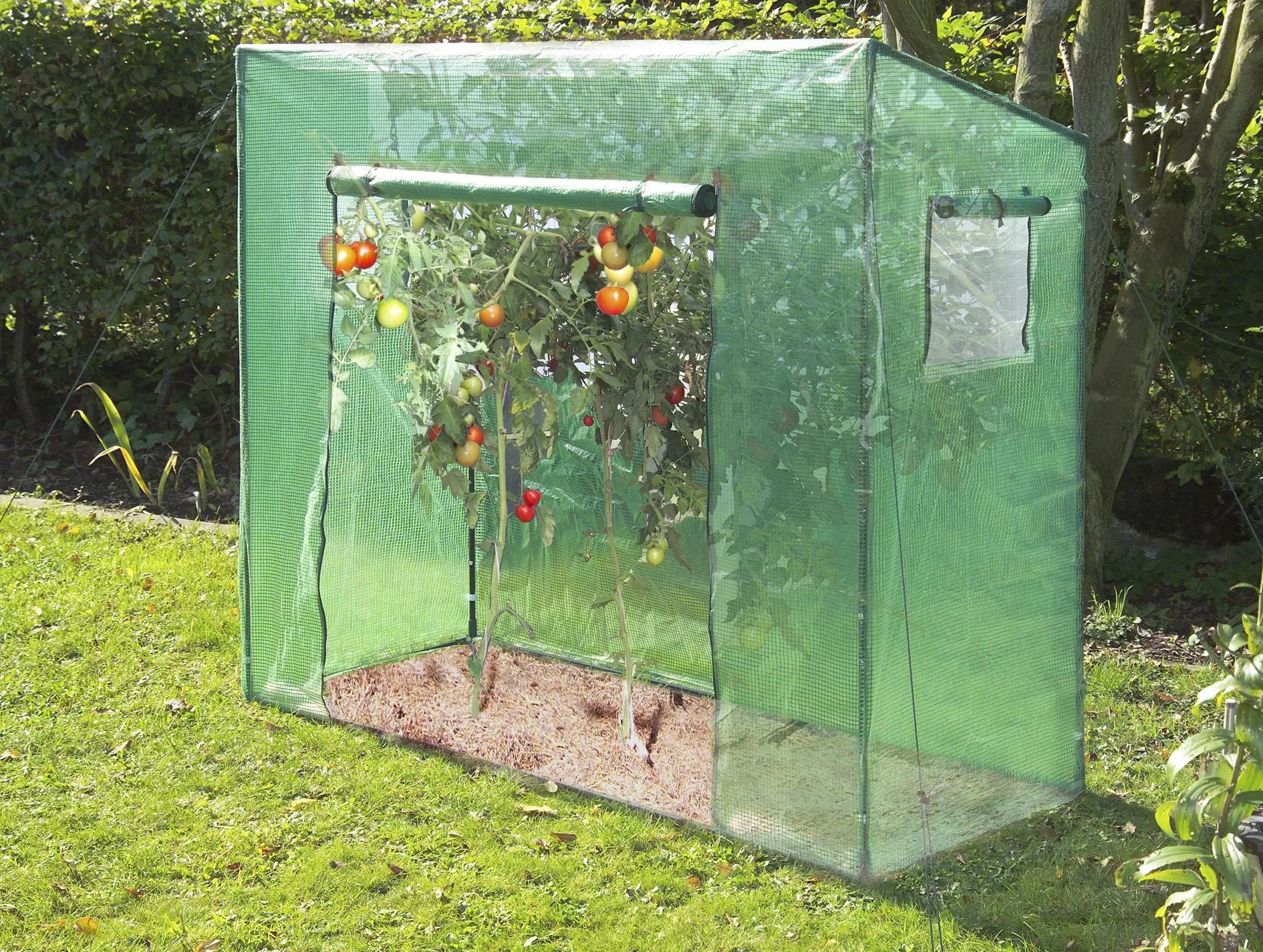 Tomaten Gewächshaus "Groß", ca. 200 x 77 x 170 cm, LxBxH - 0