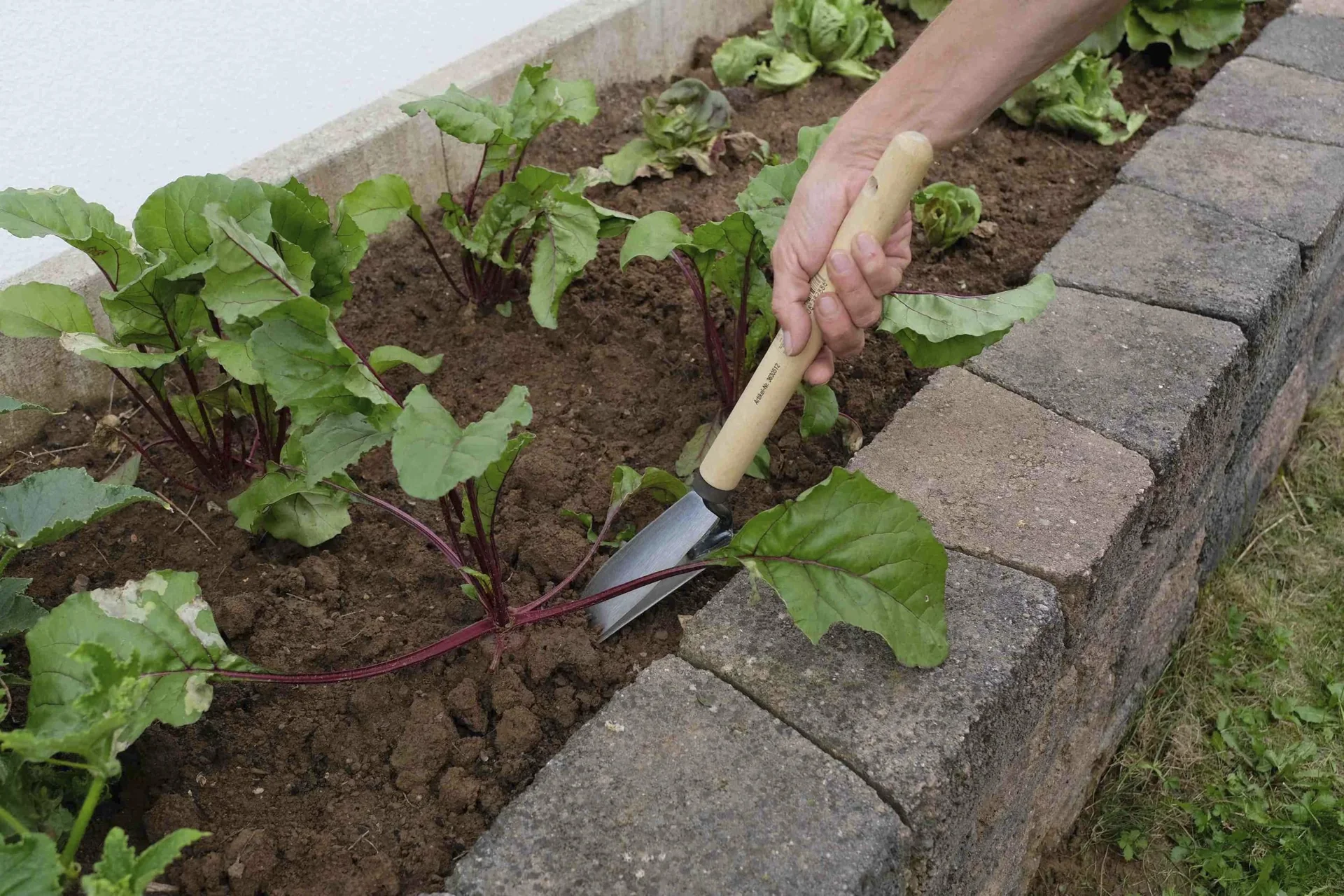 Hochbeet Blumenkelle „65211“, 45 cm - 1