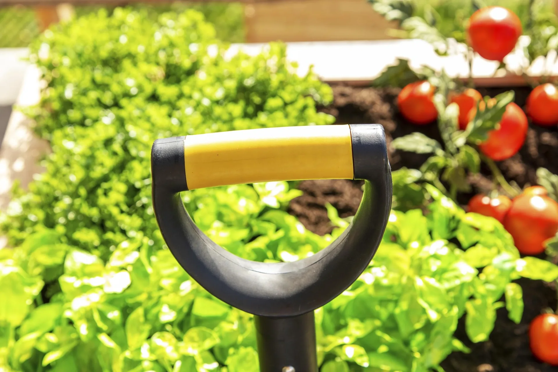 Spaten/Schaufel L gelb - 7