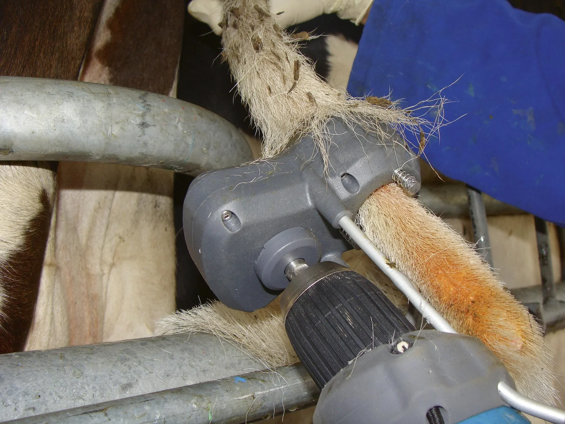 Tail Trimmer Tailwell II - 1