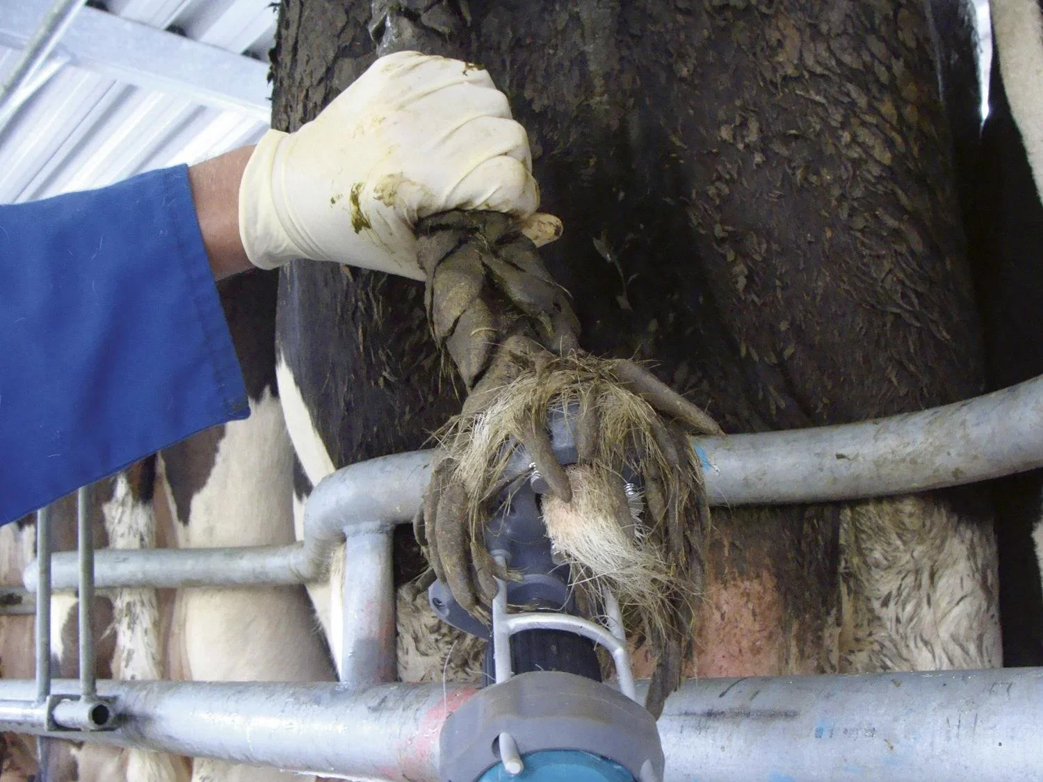 Tail Trimmer Tailwell II - 4