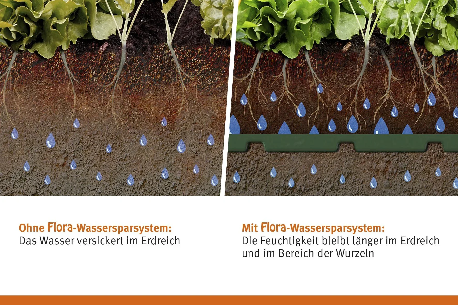 Wassersparsystem "Flora" Set - 10 Stück - 3