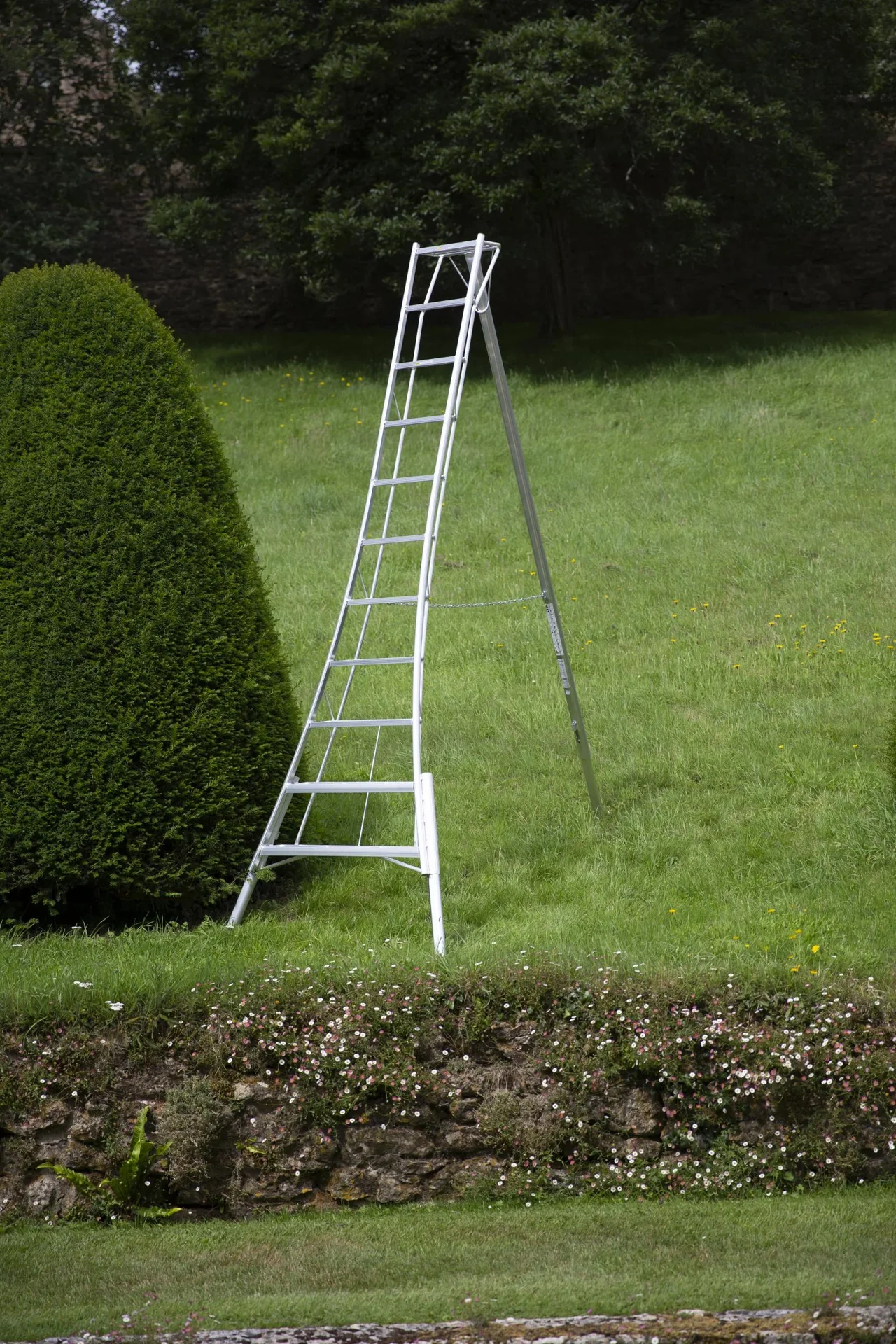 Leiter 3-Holm-Gartenleiter höhenverstellbar 128x248x330 cm Silber - 8