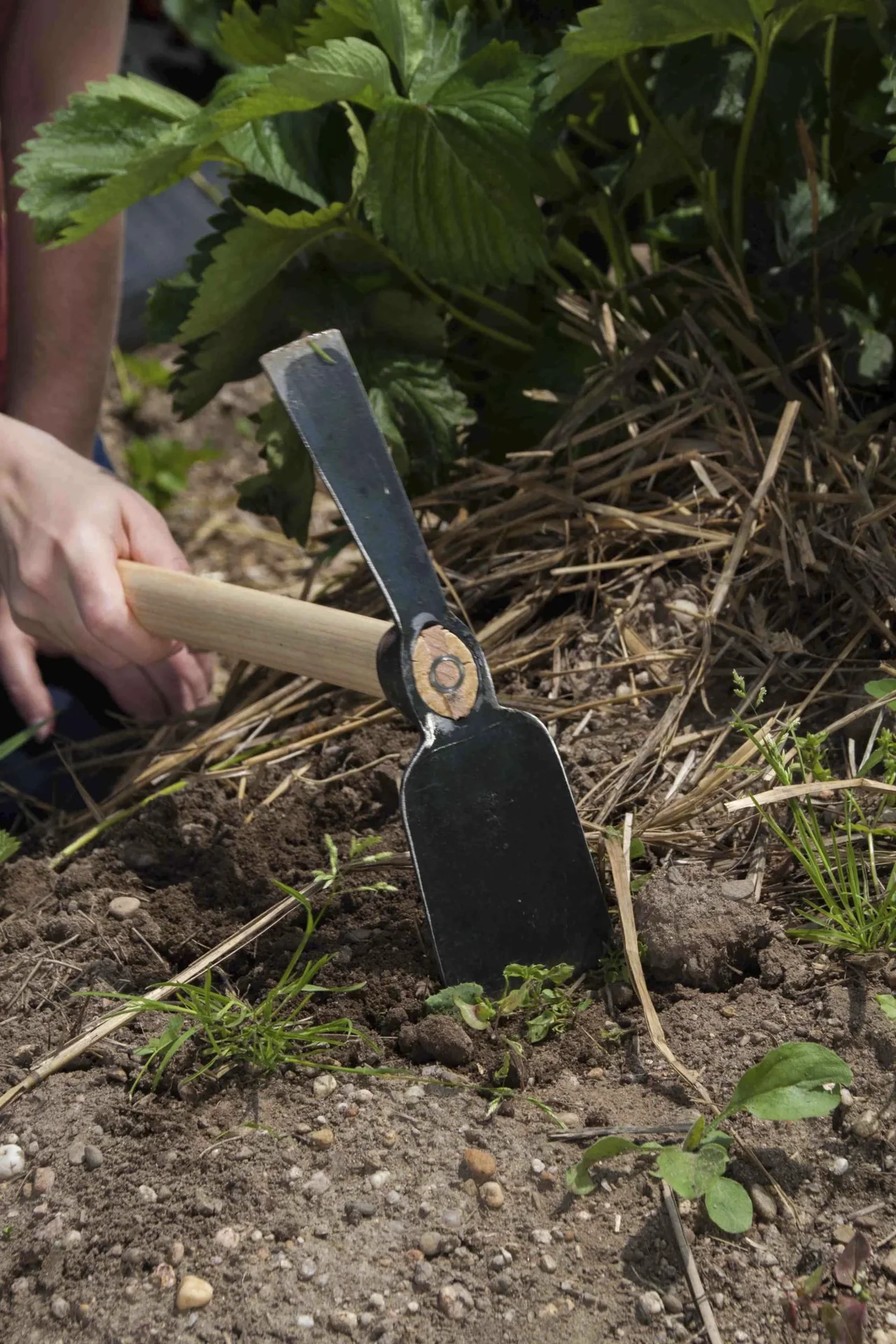 Hochbeet Kleinhäkchen "65209" - 0
