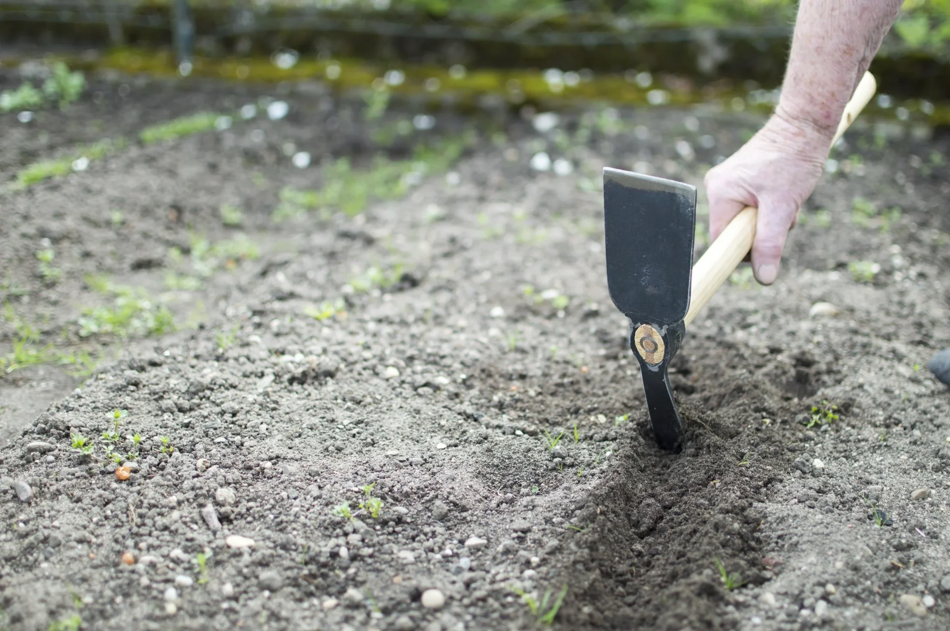 Hochbeet Kleinhäkchen "65209" - 1