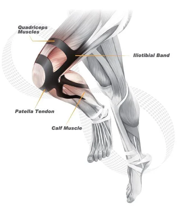 Kniebandage Ergo Band, Damen 45 - 54 cm, Größe 1 - 1