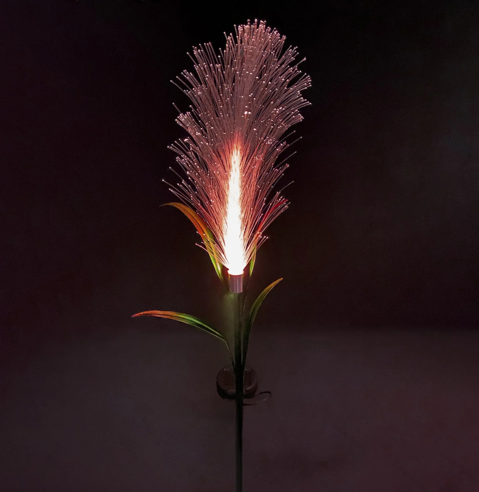 Solar Schilf LED Designleuchte - 0