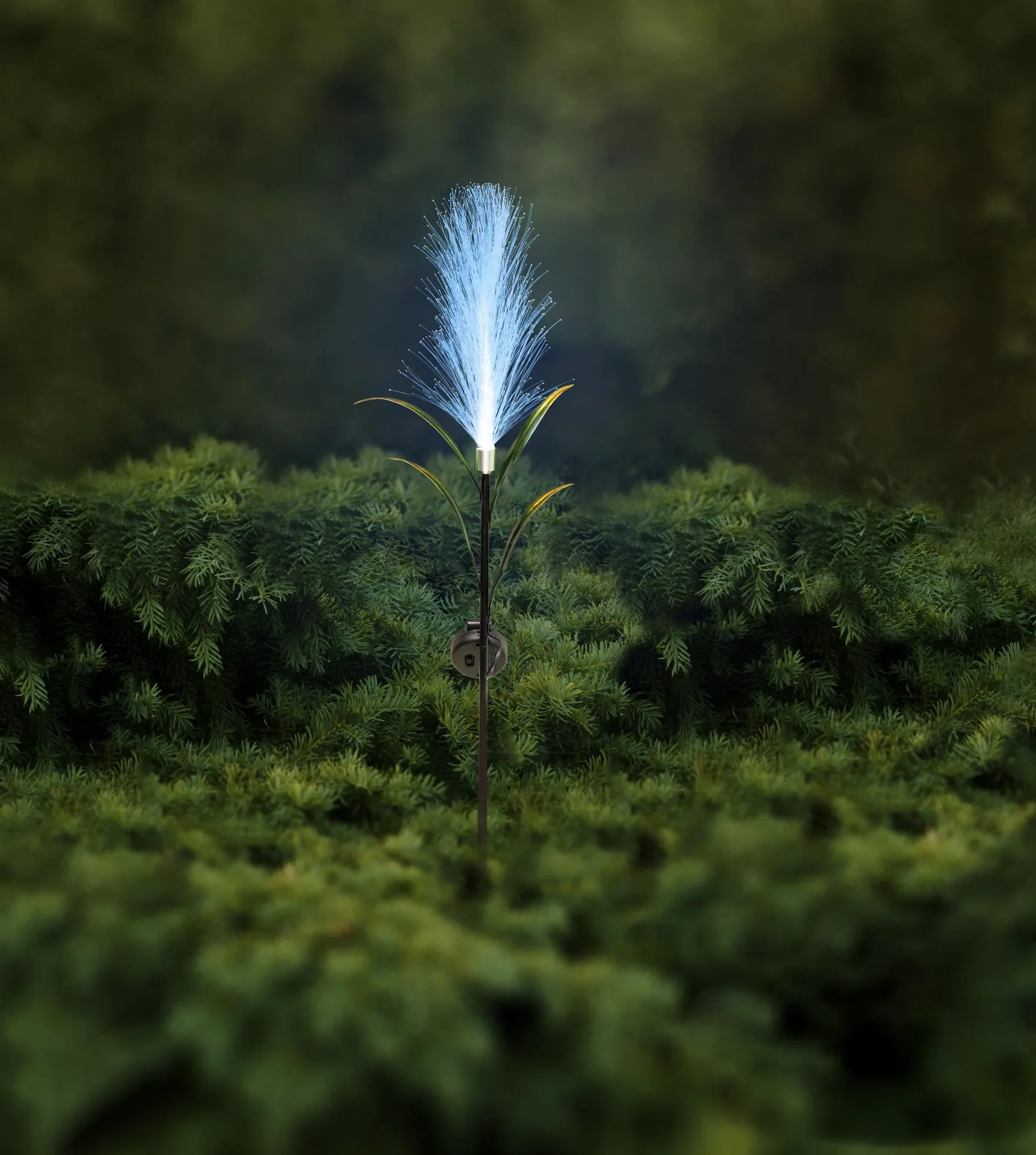 Solar Schilf LED Designleuchte - 1