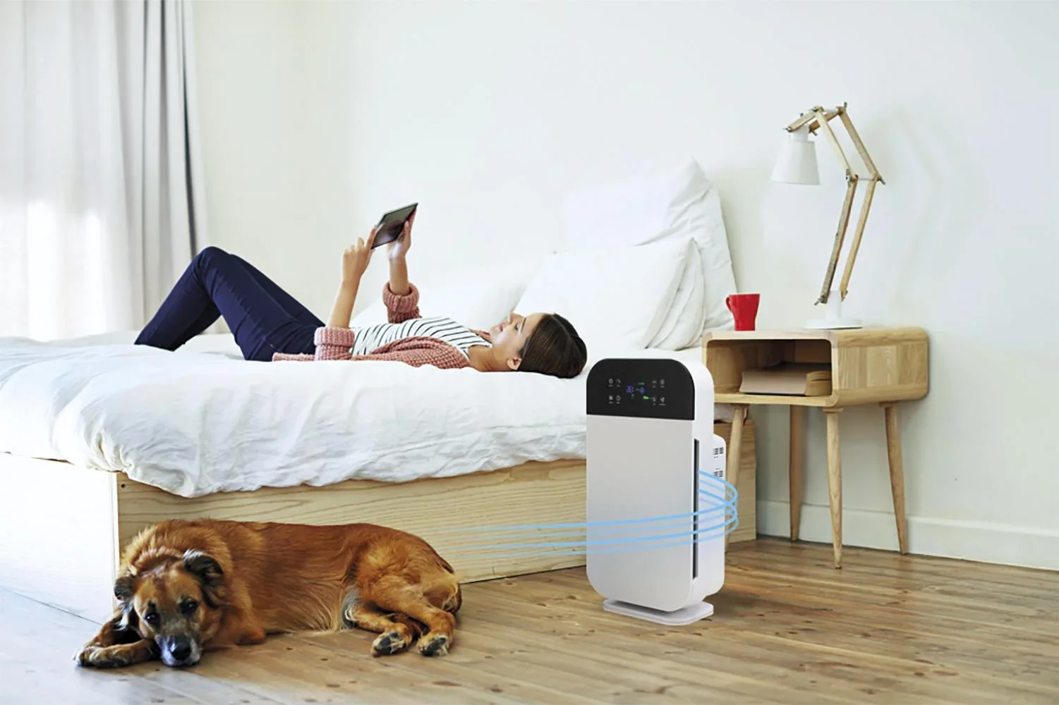 Air Purifier Deluxe 6in1 Luftreiniger für bis zu 40 m² - 2