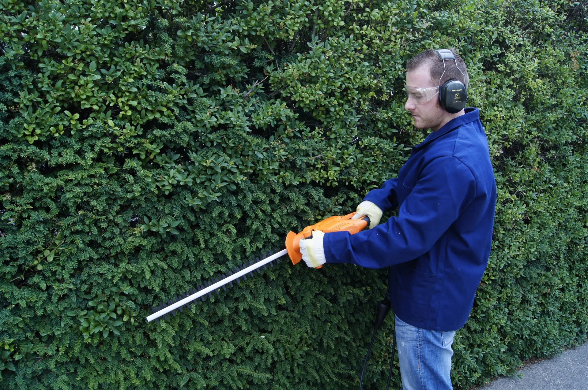 Elektro Heckenschere HA 550/58 - 0