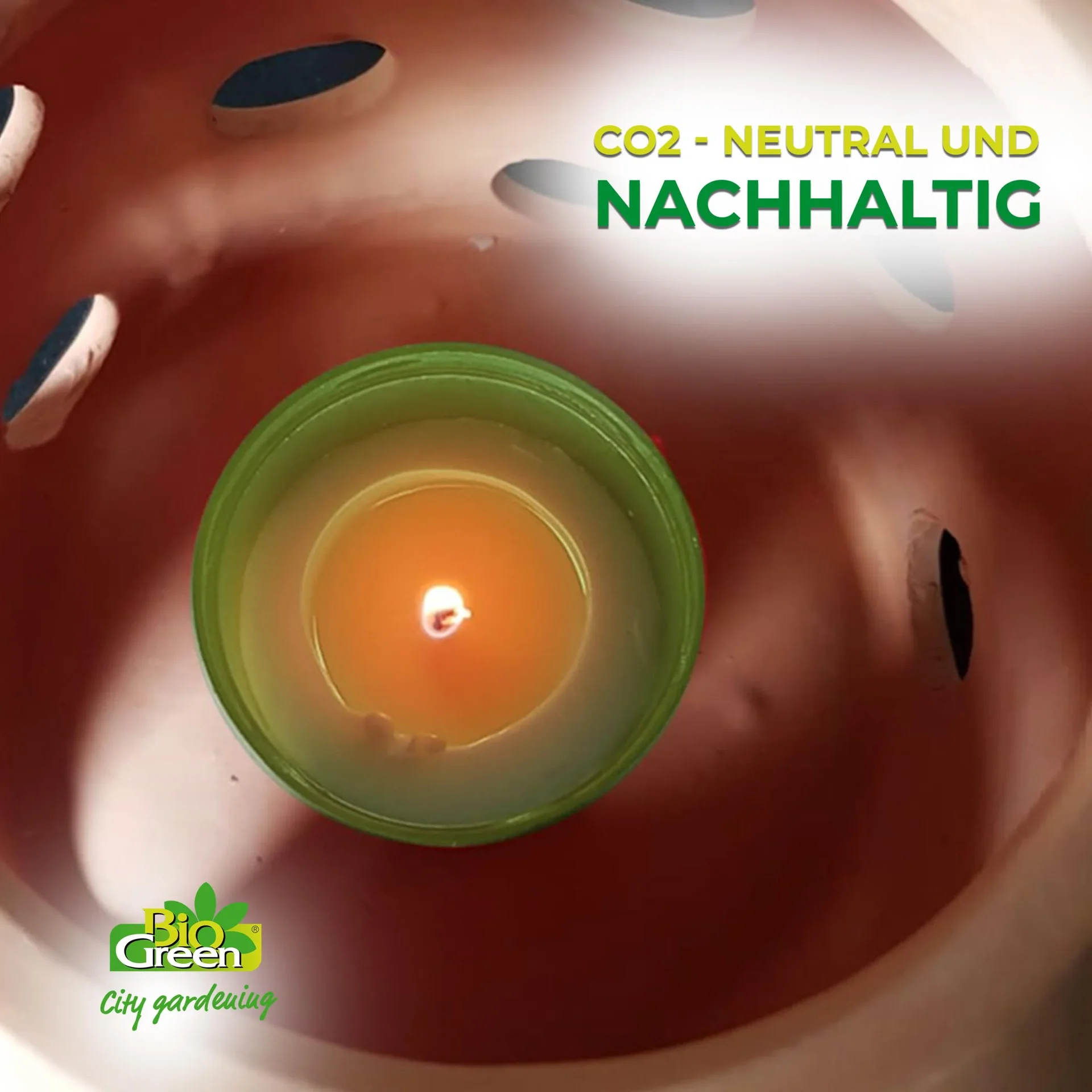 Kerzen für Frostwächter Firefly - 6 Stück - 1