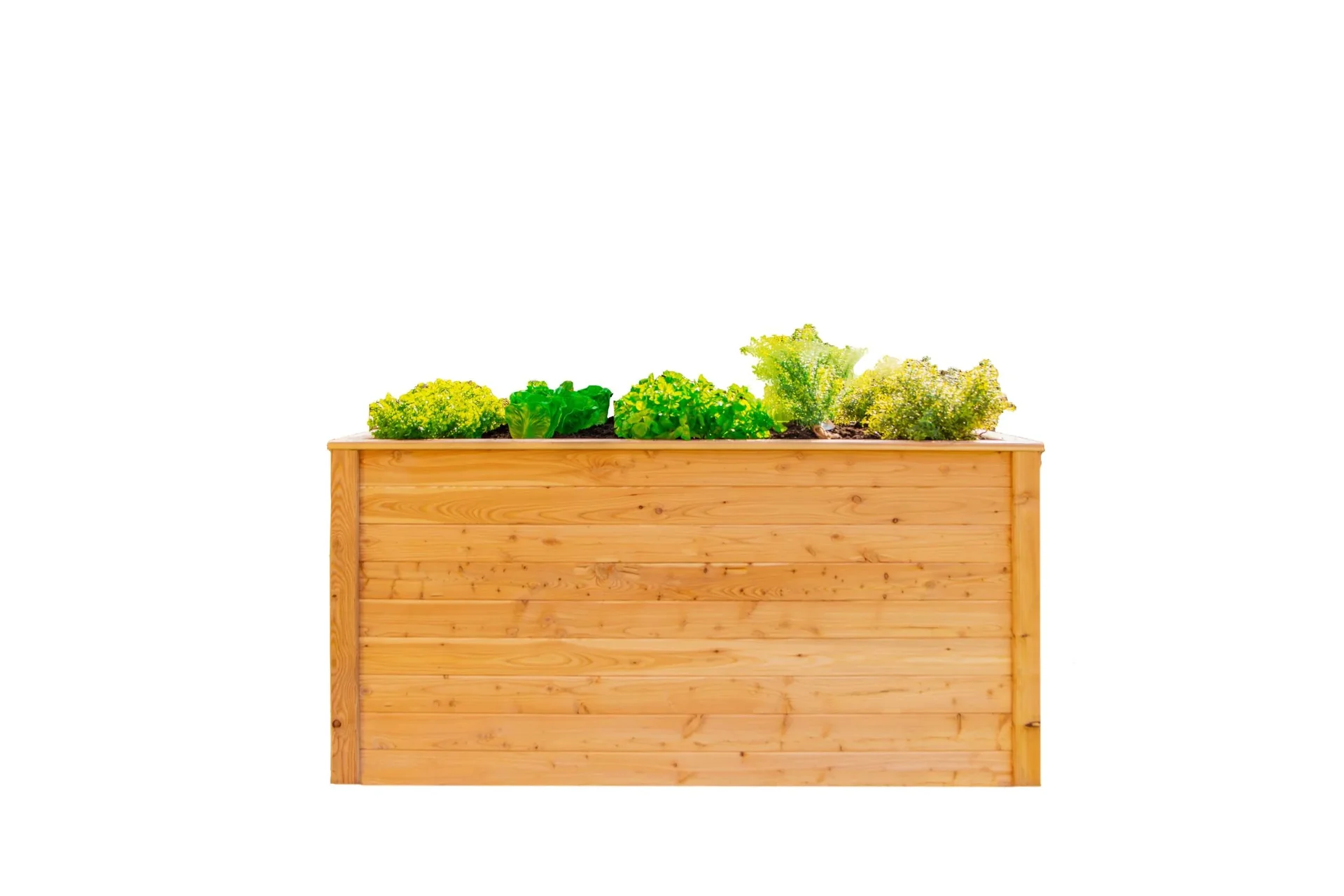 Hochbeet Lärche 170, 170 x 90 x 84 cm - 5