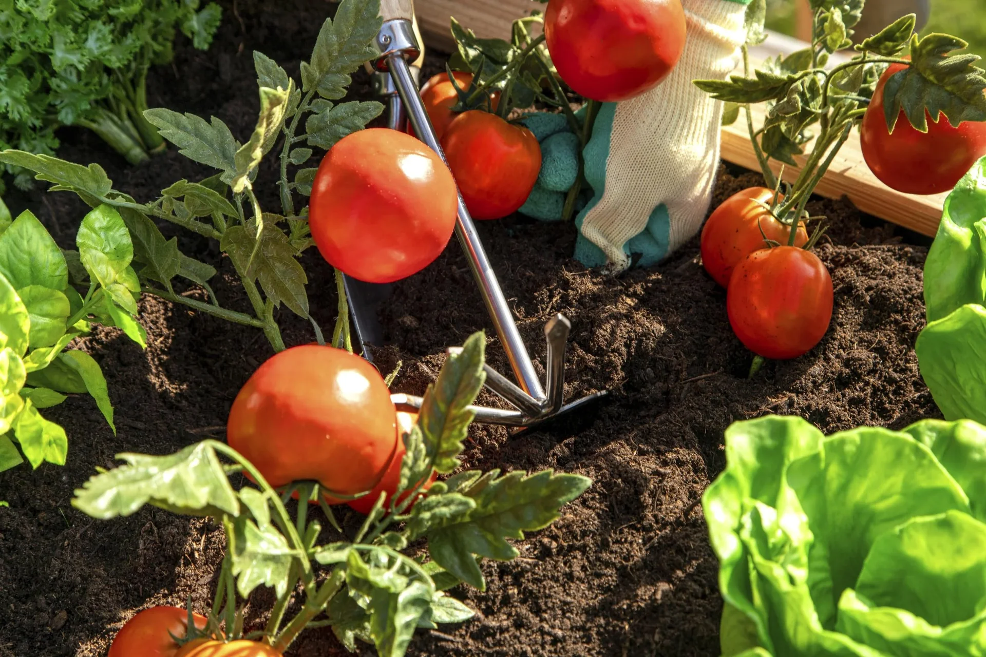 Hochbeet Lärche 170, 170 x 90 x 84 cm - 6