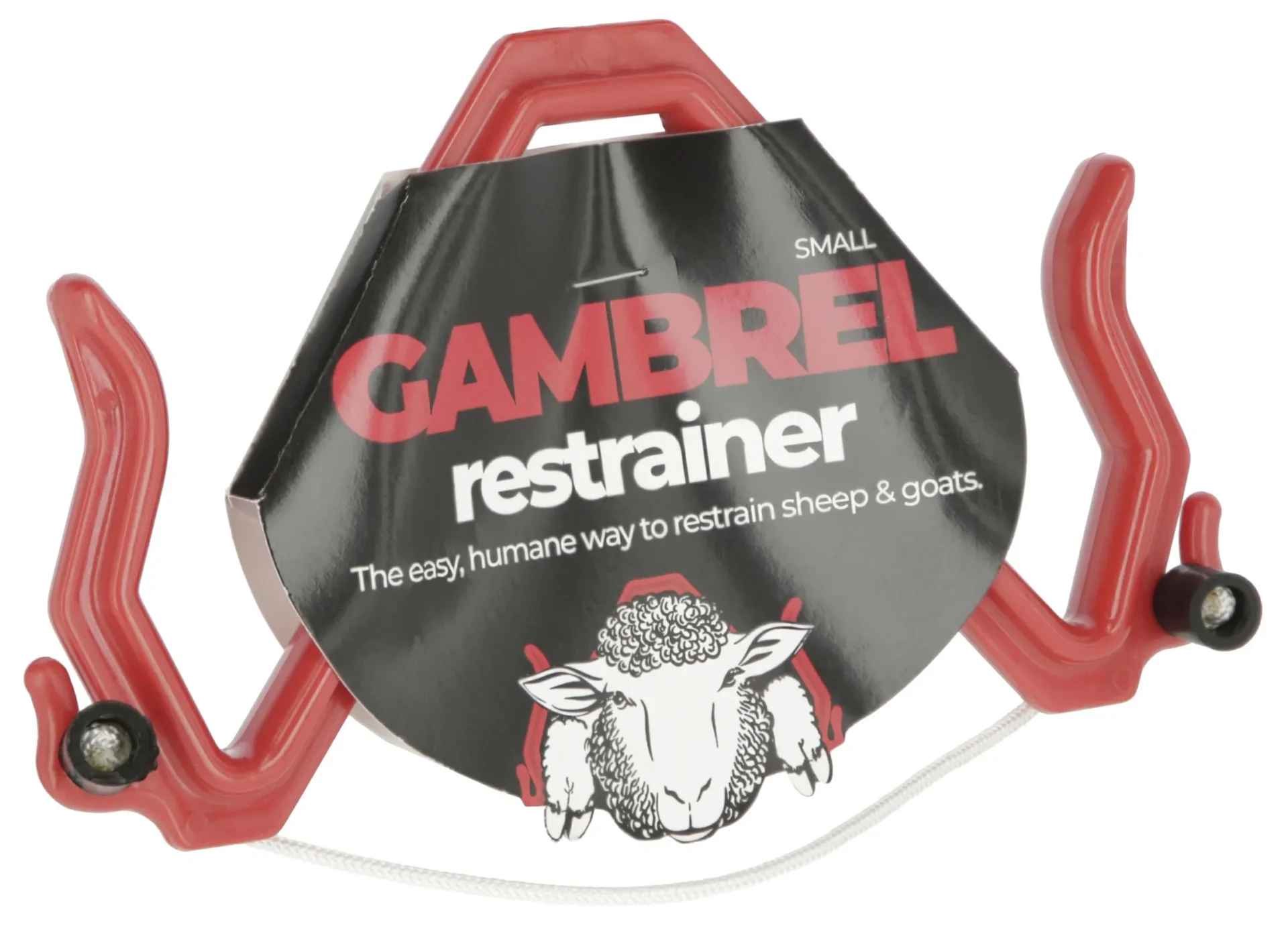 Immobilisierungsbogen 19,5 x 11 cm - 1