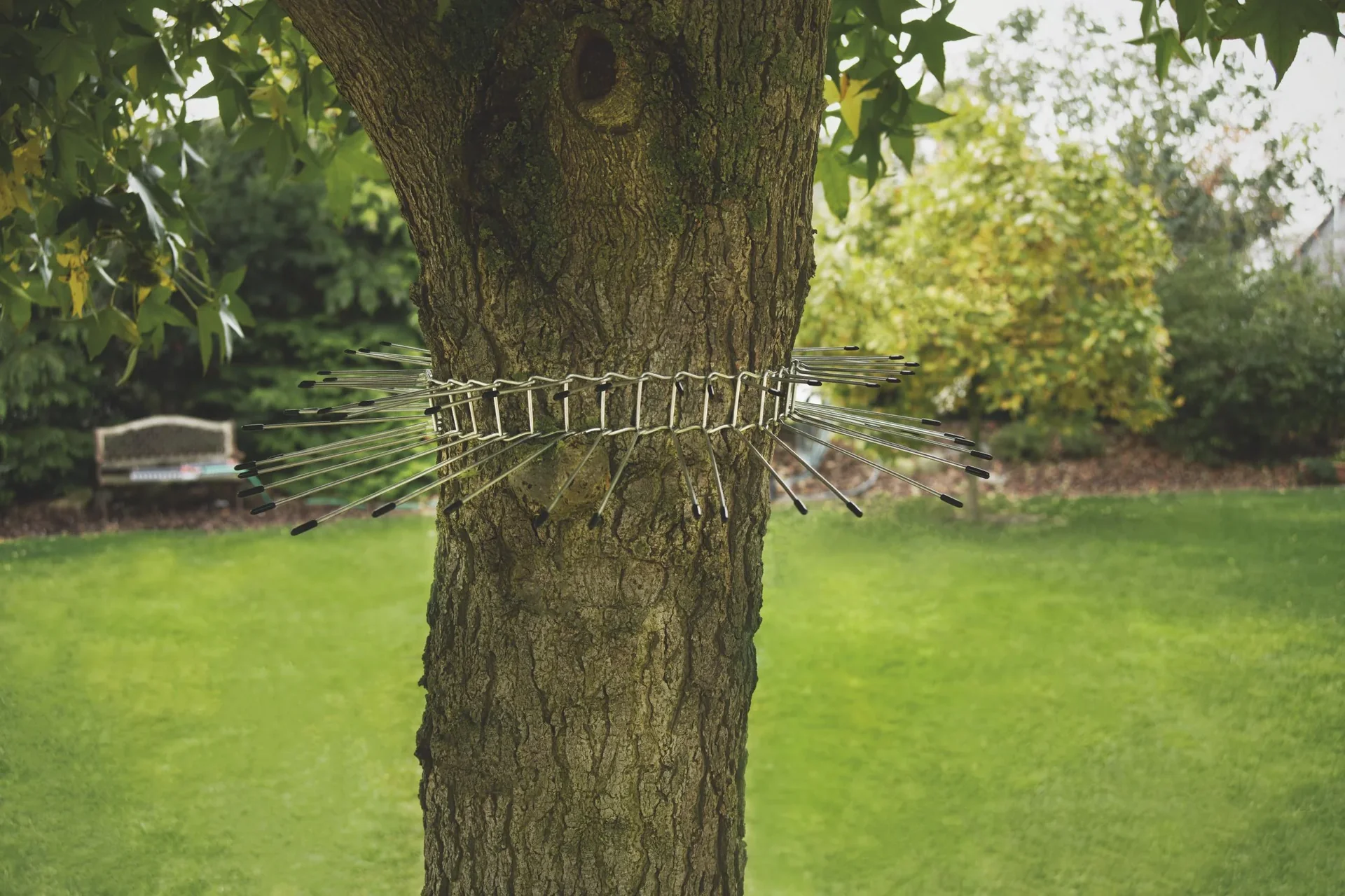 Katzenabwehrgürtel - 7