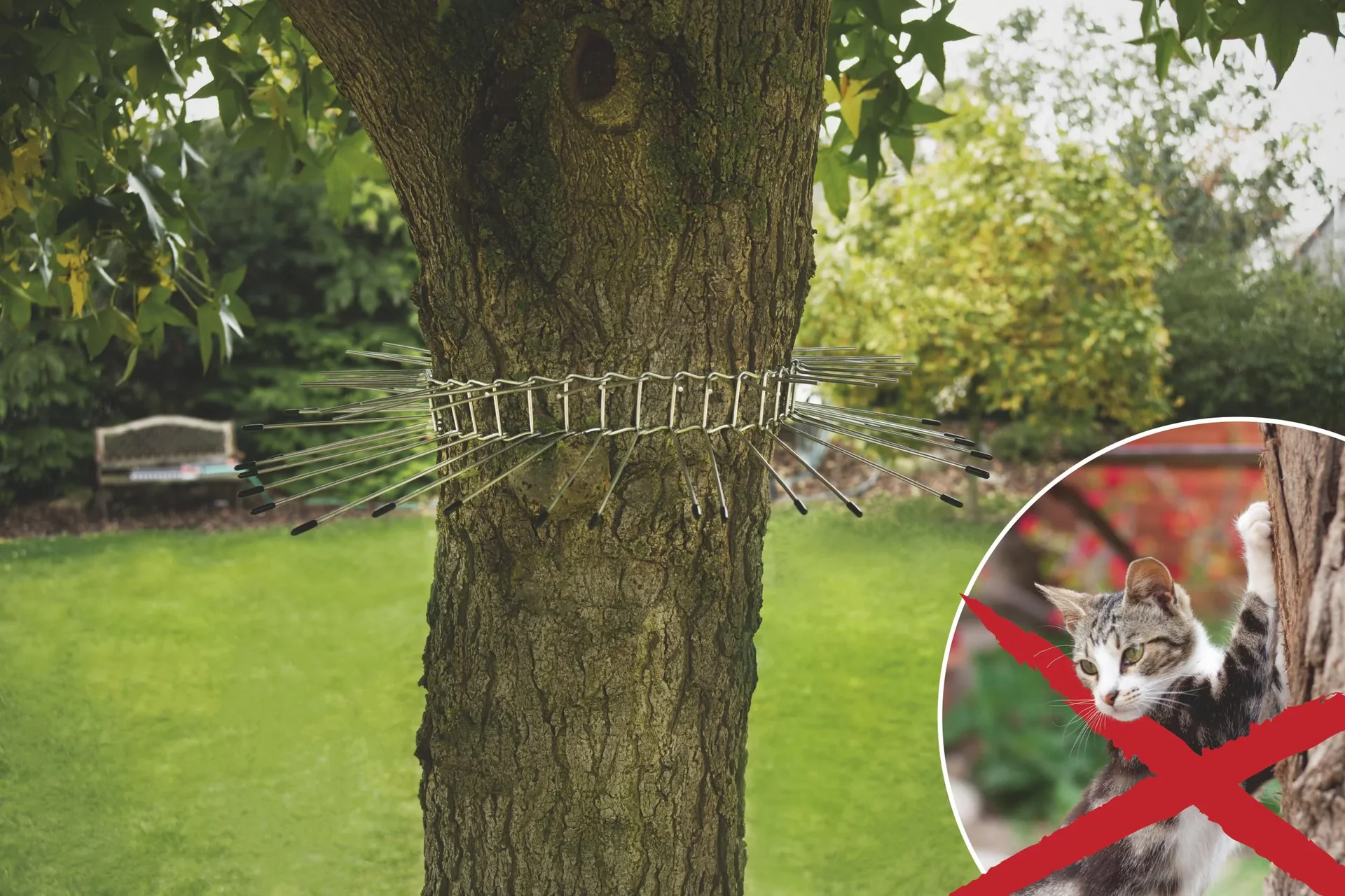 Katzenabwehrgürtel - 8