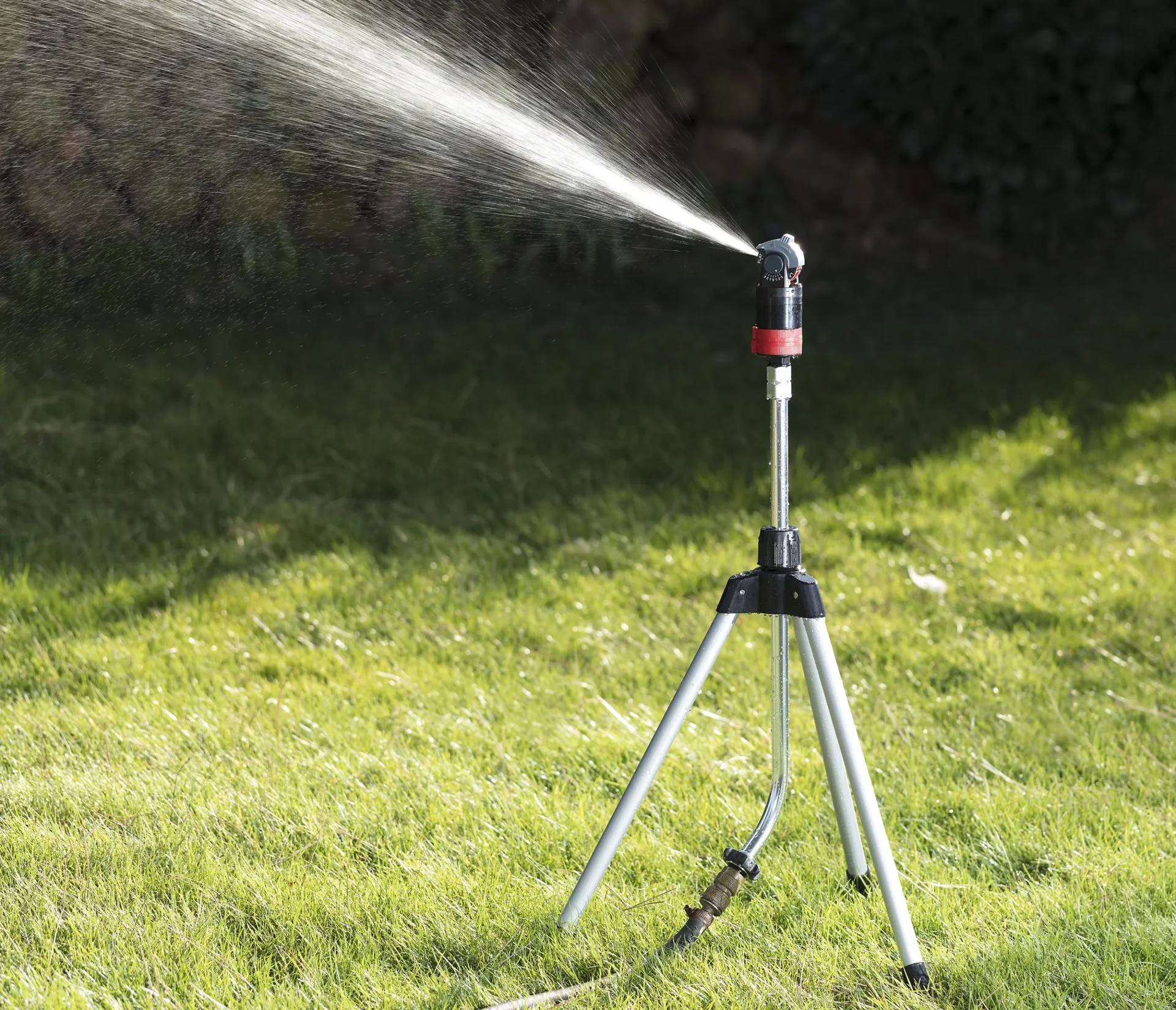 Rasenregner mit 5-Fach Sprühkopf - 0