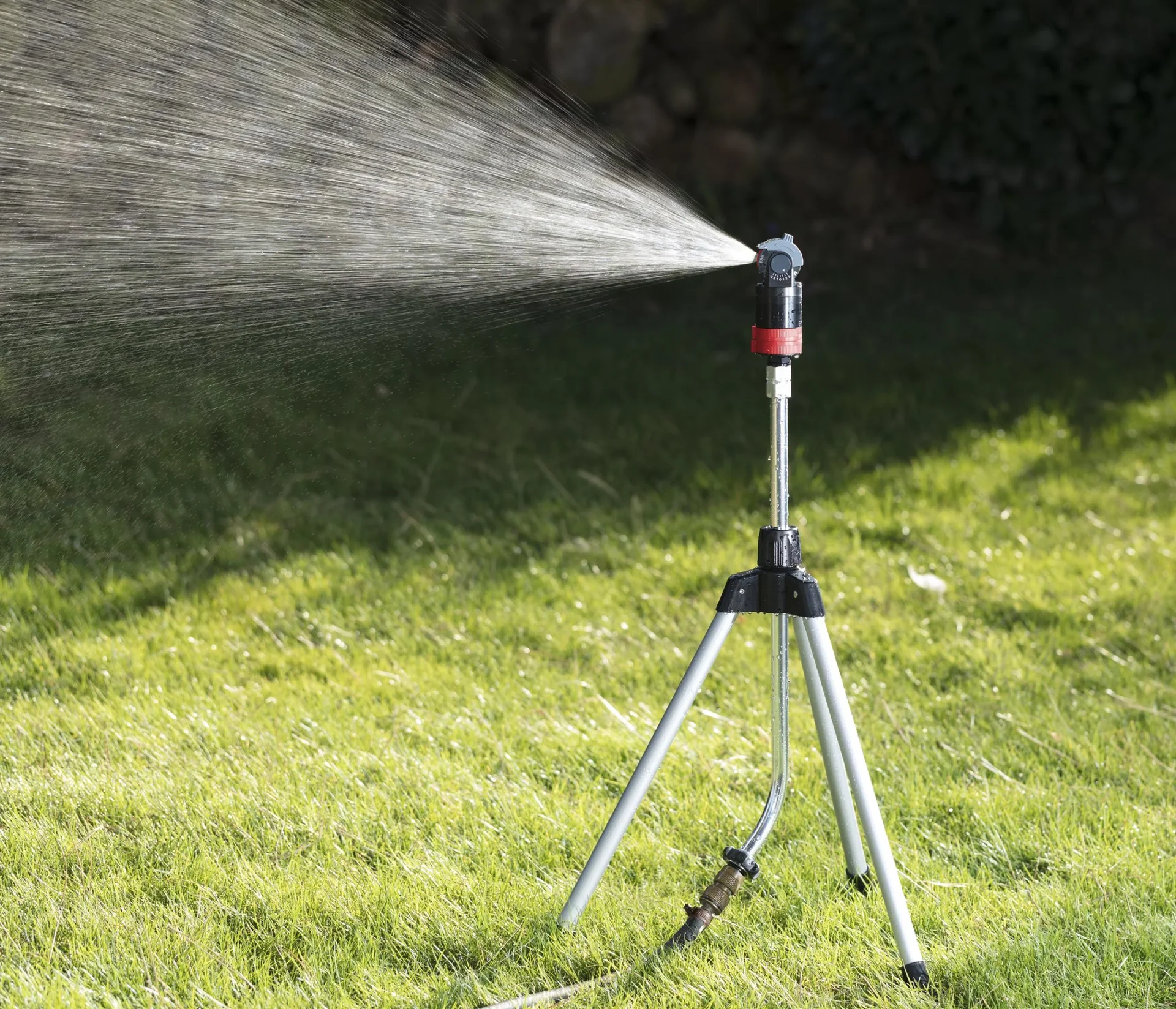 Rasenregner mit 5-Fach Sprühkopf - 1