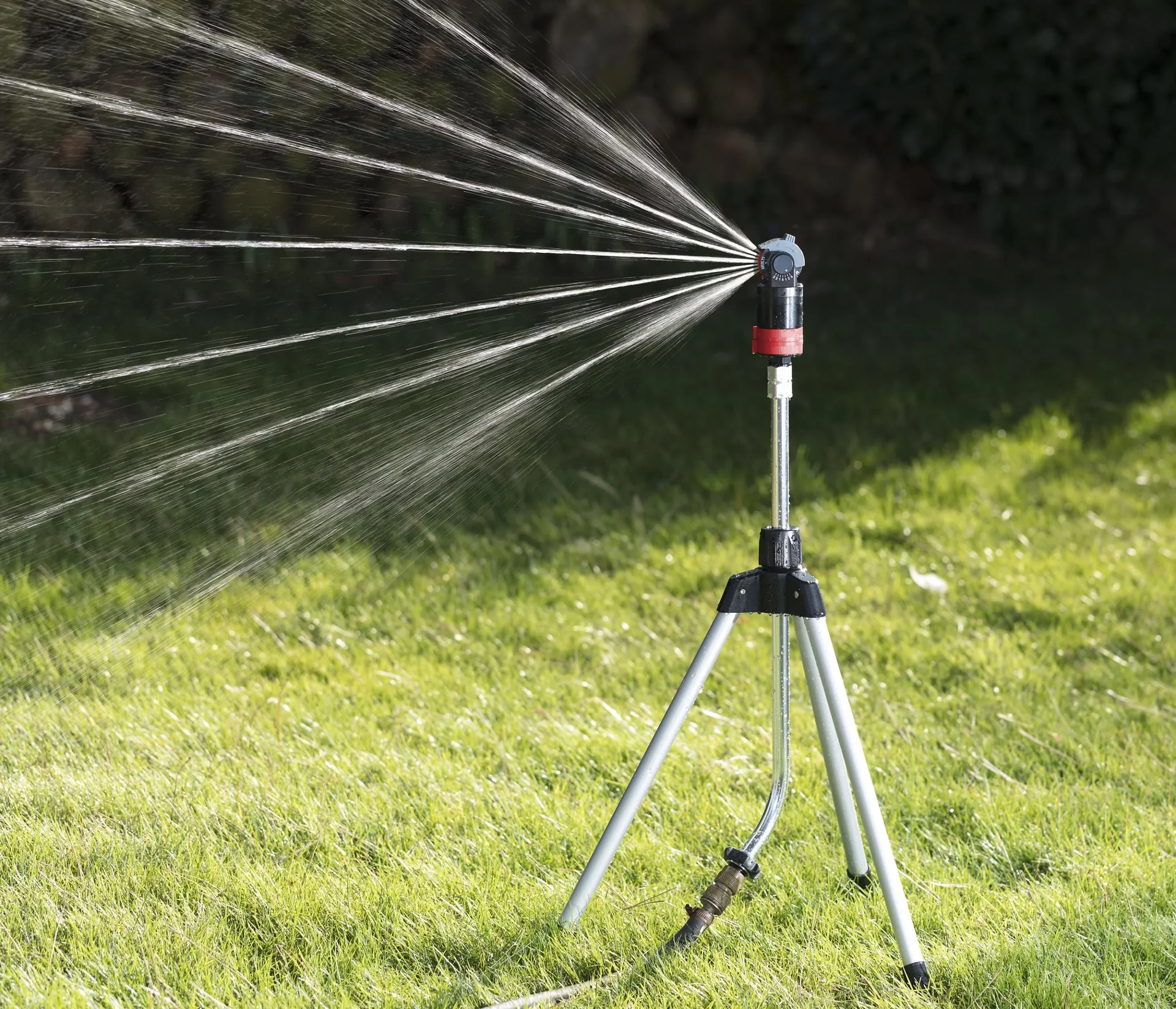 Rasenregner mit 5-Fach Sprühkopf - 5