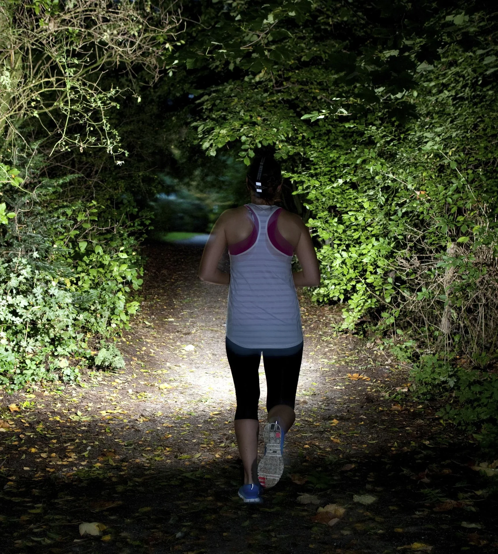 Cree LED Kopflampe 3 Watt mit 2 zusätzlichen roten LEDs - 3