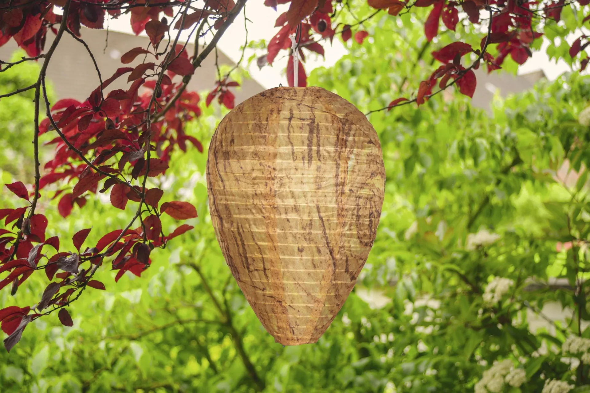 Wespennest Premium 2er Set - 6