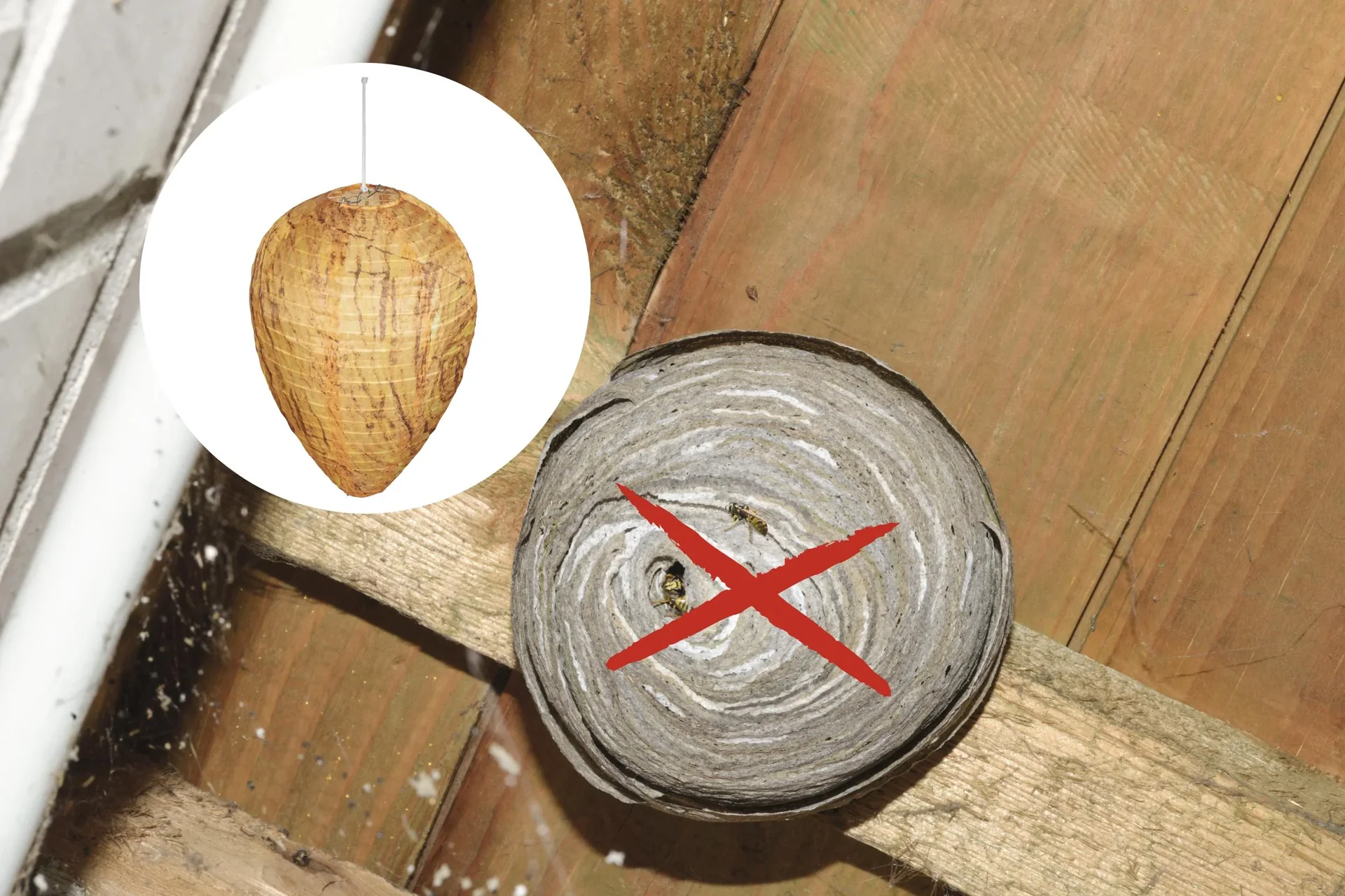 Wespennest Premium 2er Set - 9