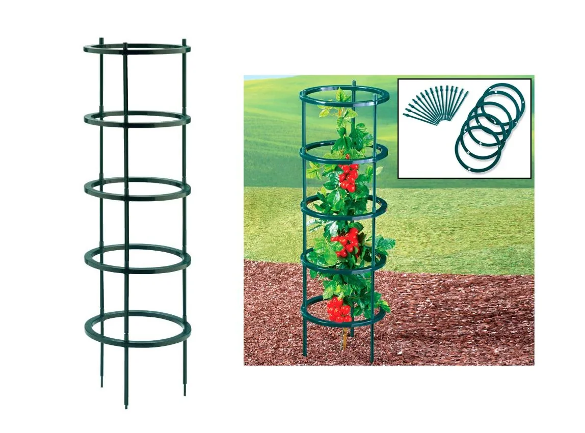 Pflanzen-Rankhilfe, 5-stufig - 0
