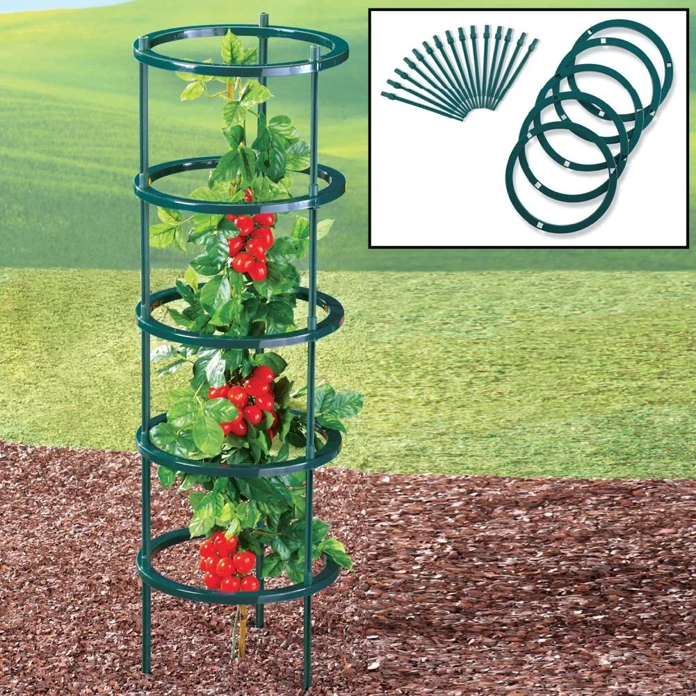 Pflanzen-Rankhilfe, 5-stufig - 2