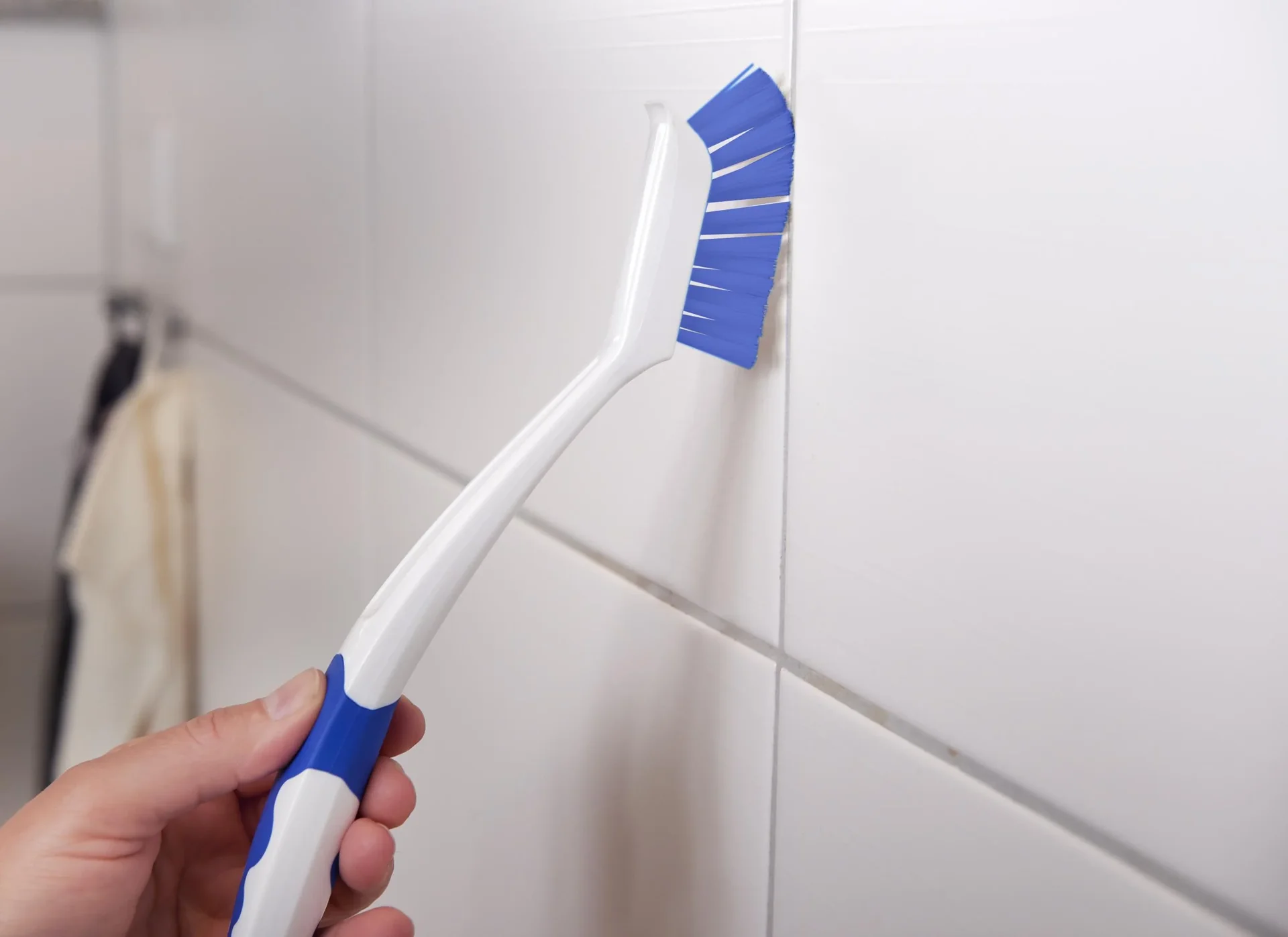 Fugenbürste mit Kratzer, 3er Set - 2