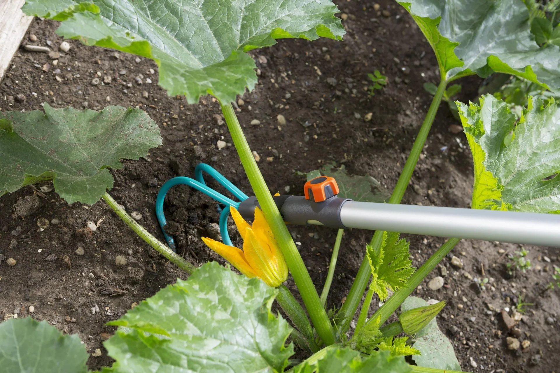 Combisystem-Grubber, 3 Zinken, Arbeitsbreite 9 cm - 0