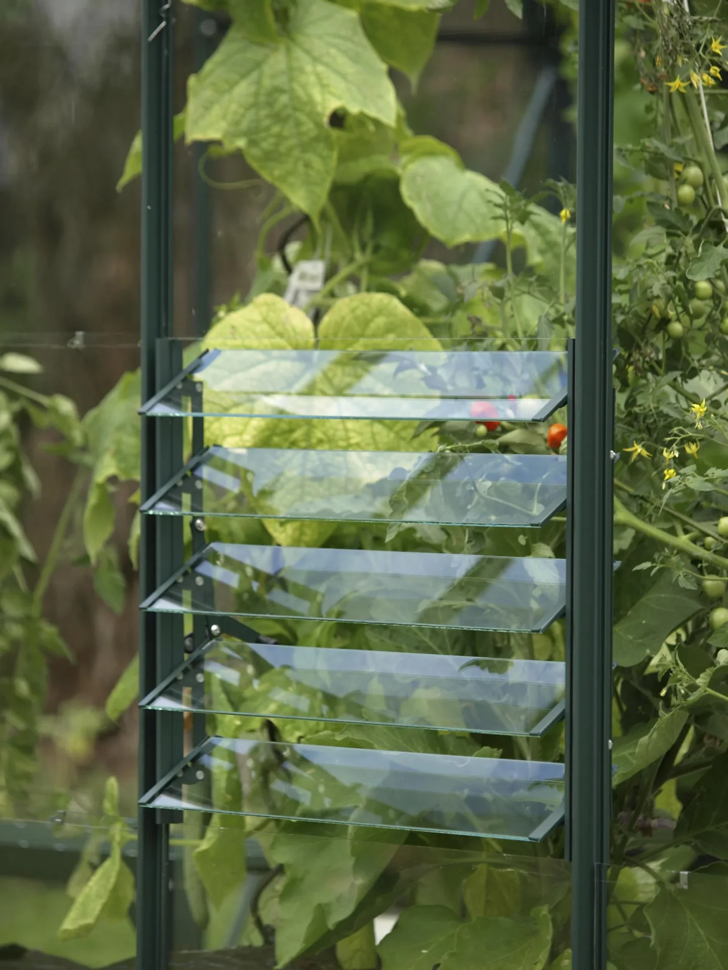 Lamellen-Wandfenster, smaragd, mit ESG 3mm - 0