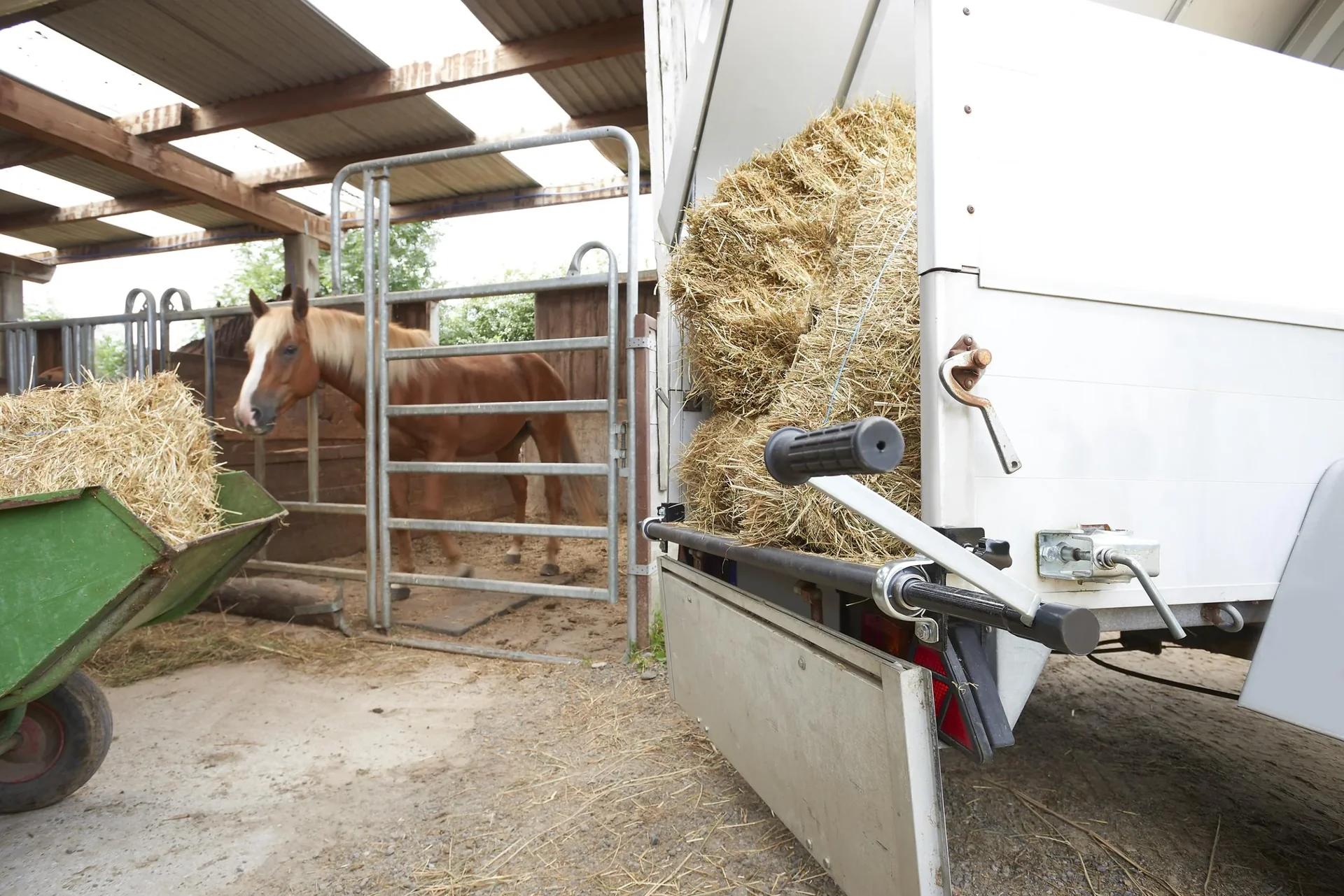 Rollplane für Anhänger - 6