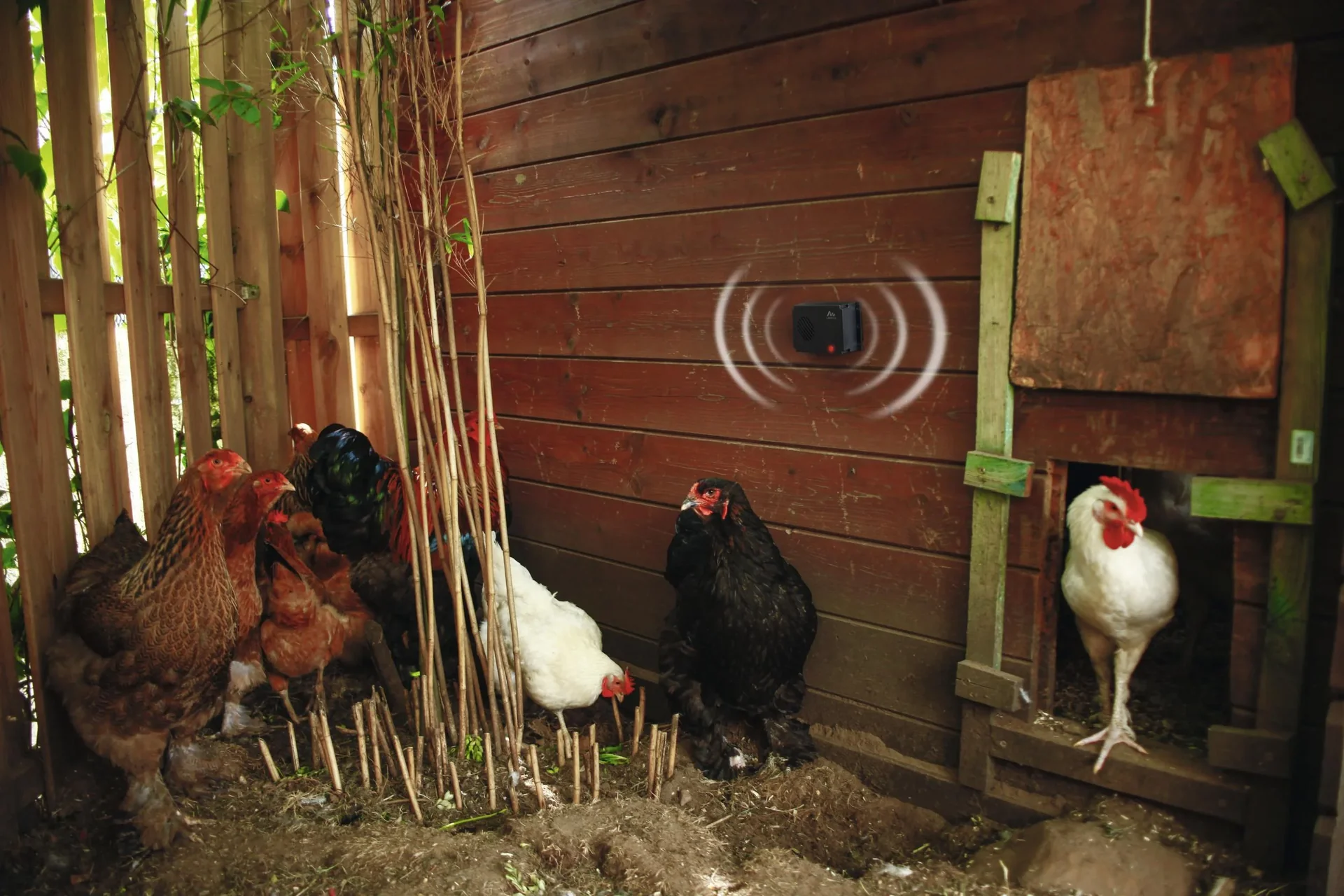 Marder Frei Mobil - batteriebetrieben - 0