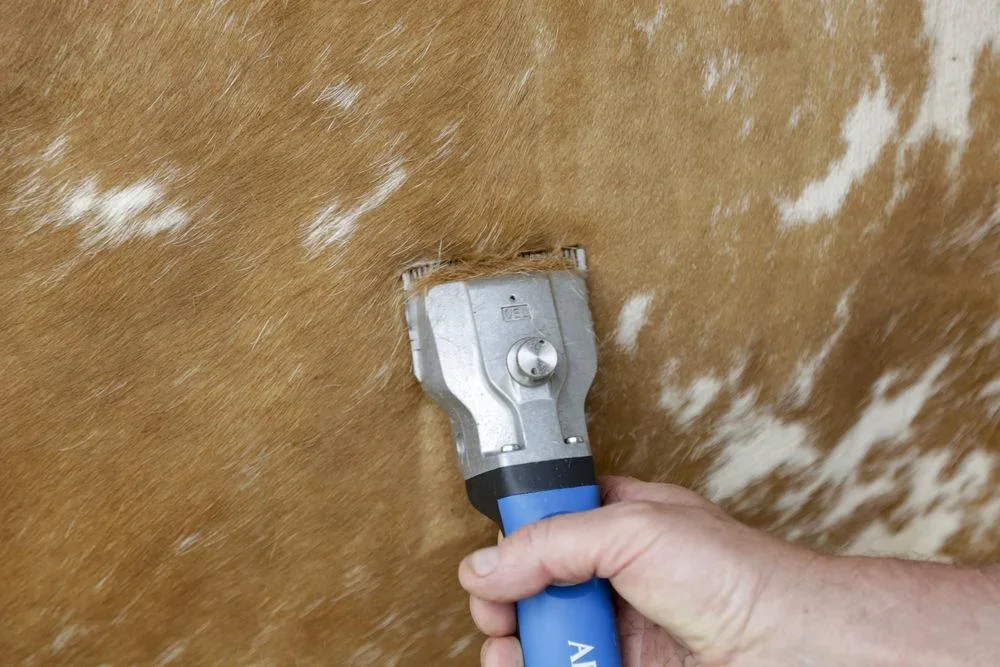 Akku- Schermaschine Bonum für Rinder und Pferde, inklusive 2 Akkus - 0