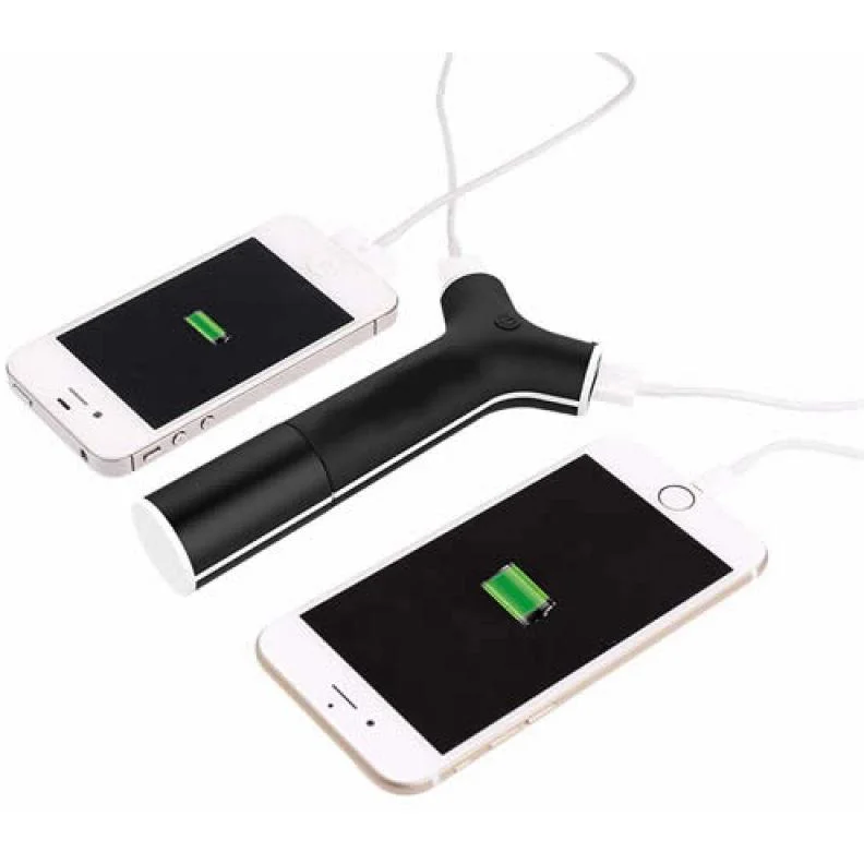 12/24v Ladegerät & Powerbank (2200mAh) - 1