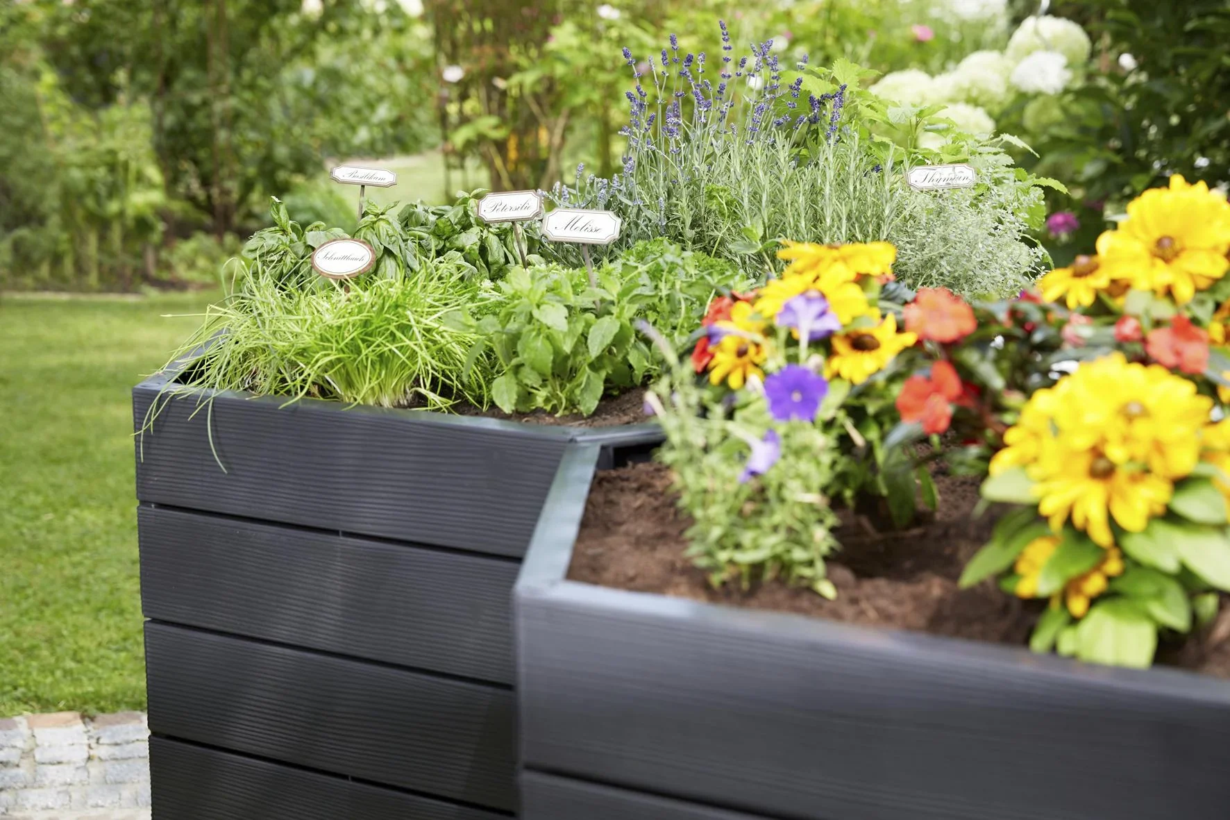 Hochbeet-System Ergo XL Wood - 8