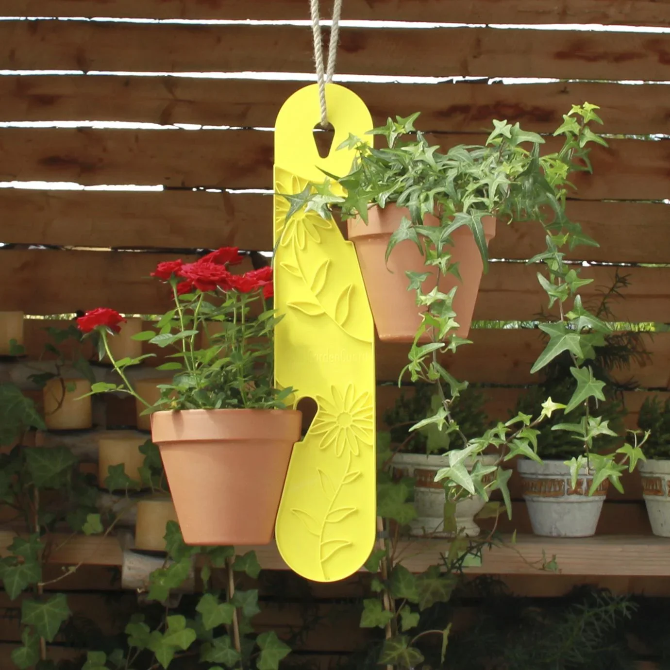 Blumenampel, gelb - 0