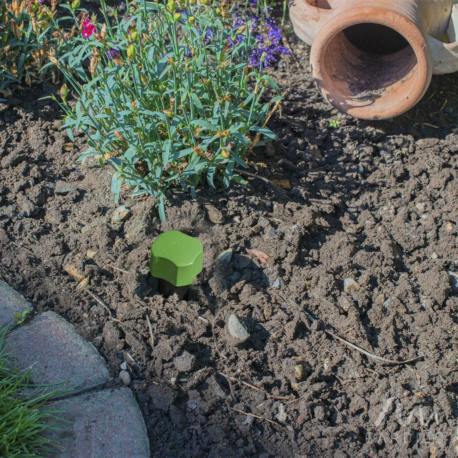 Maulwurf-Schreck Mini - 7