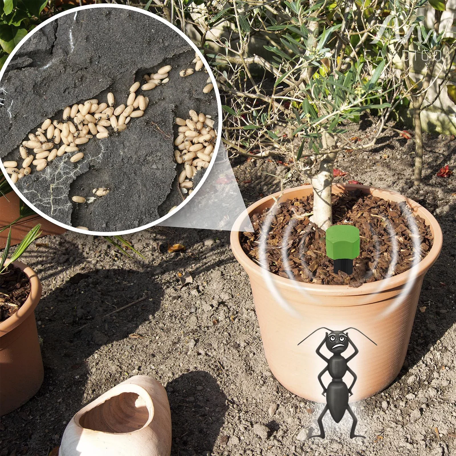 Maulwurf-Schreck Mini - 10