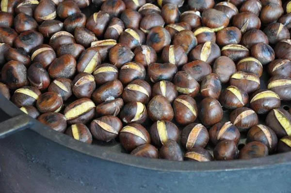 Gulaschkanone, Gulaschofen, Eintopfofen, "Szeged" + GRATIS dazu: Schöpfkelle, Edelstahl, 23 cm - 1