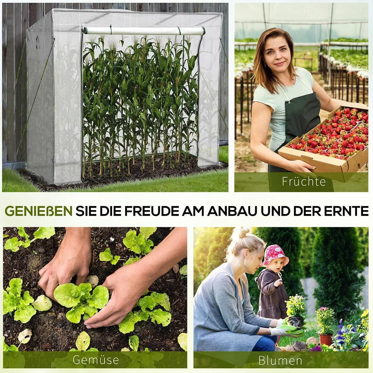 Gewächshaus Treibhaus Tomatenhaus mit 2 Fenstern Frühbeet 200x73x168cm Weiß - 2