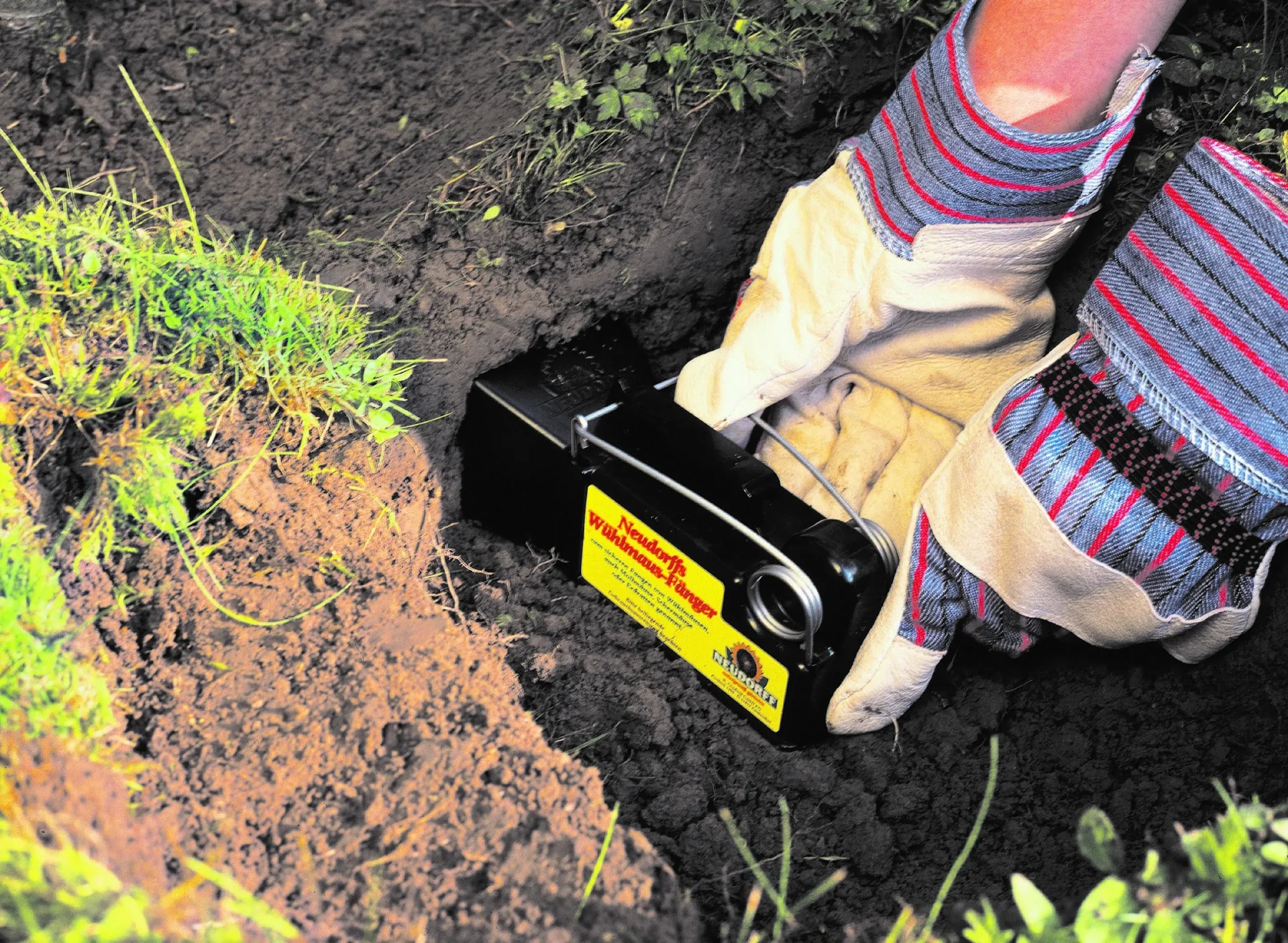 Sugan WühlmausFalle - 1 Stück - 0