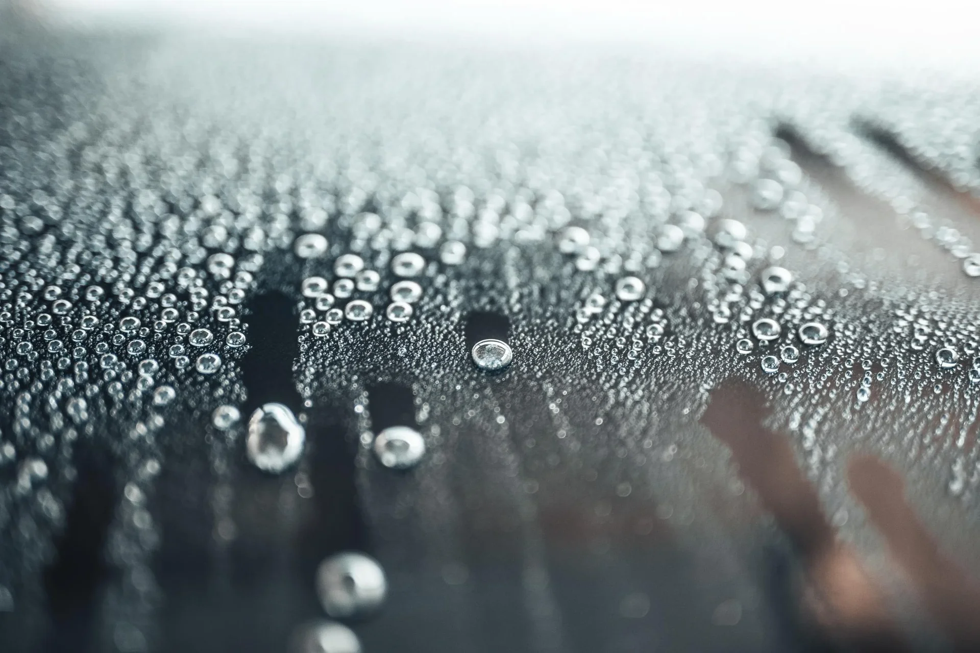 Speed Wax Plus 3 A1 - 1