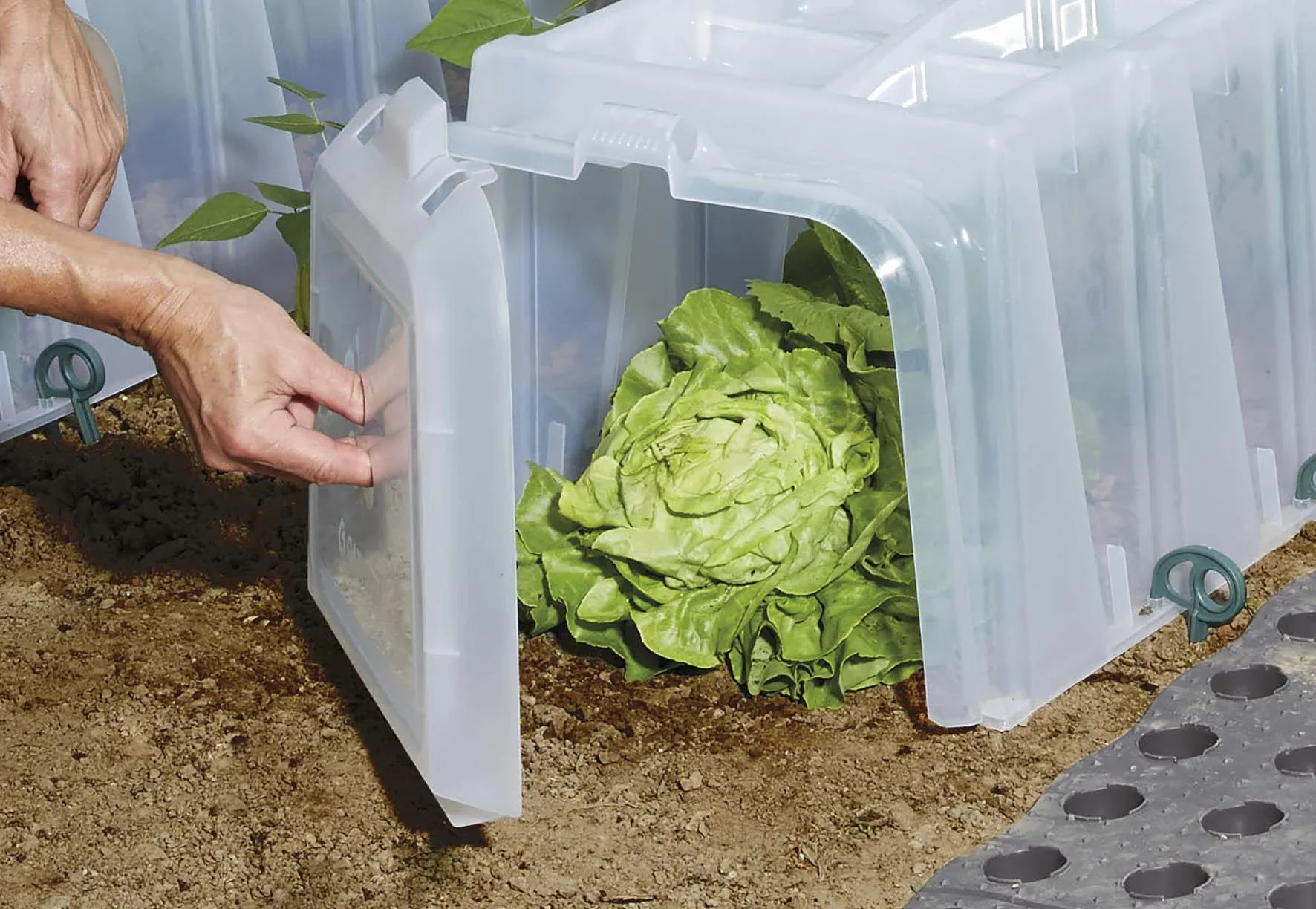 Pflanztunnel 5er-Komplettset SUNNY - 3