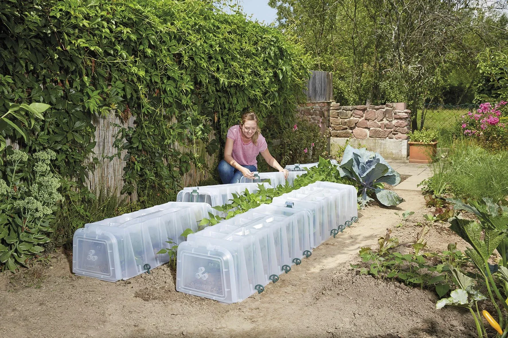 Pflanztunnel 5er-Komplettset SUNNY - 4