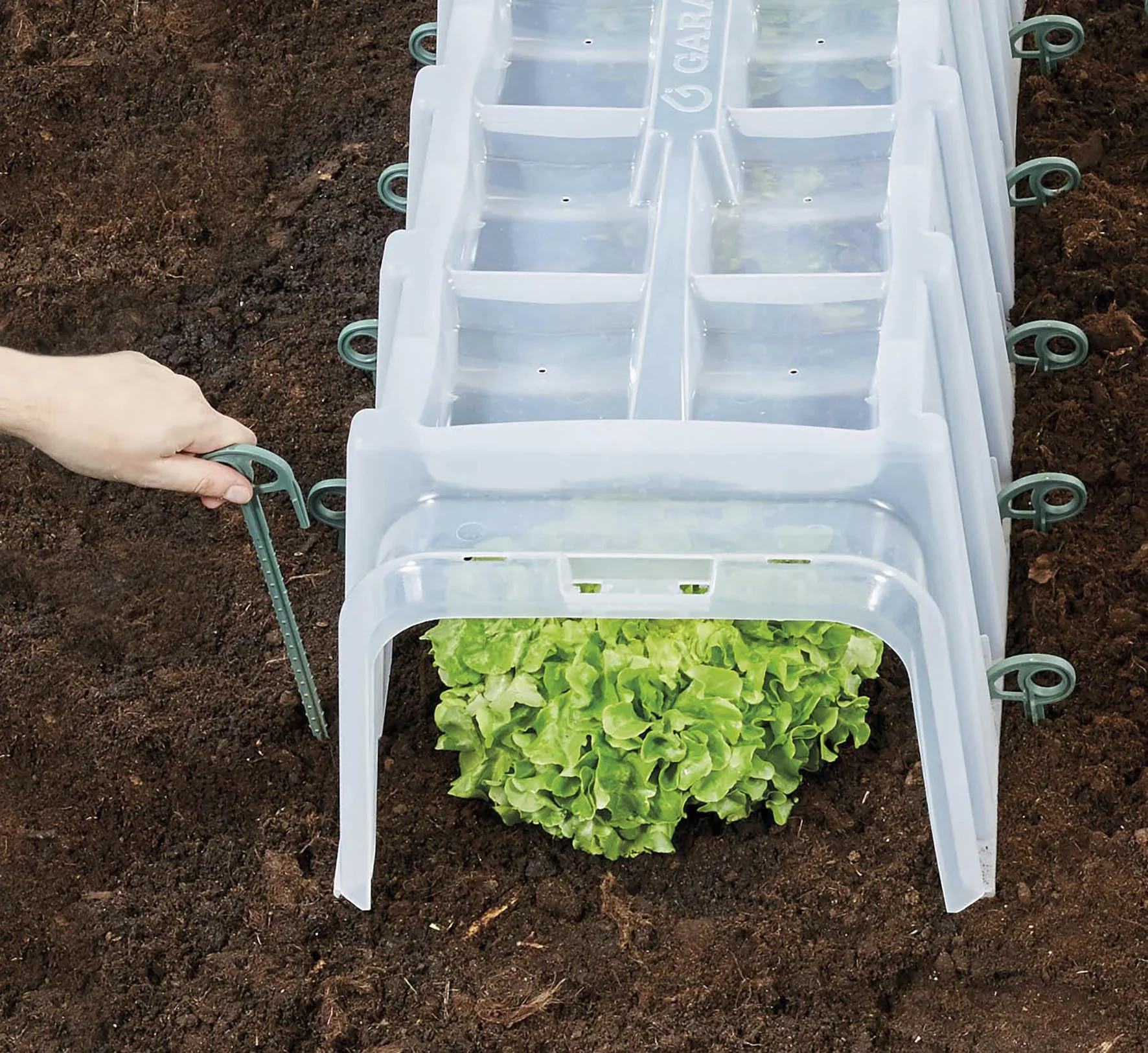 Pflanztunnel 5er-Komplettset SUNNY - 7