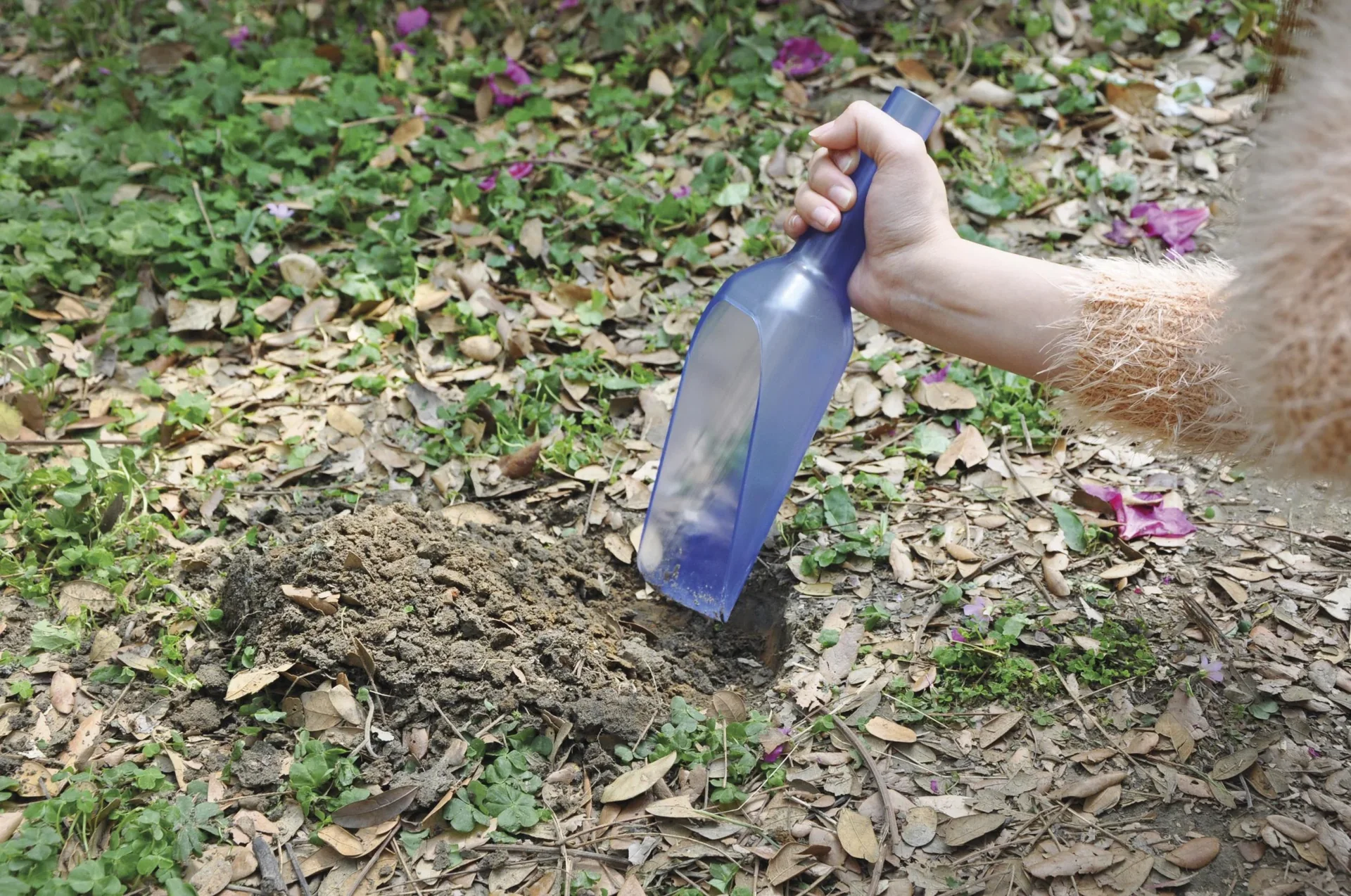 Trichterschaufel 2 in 1, blau - 2