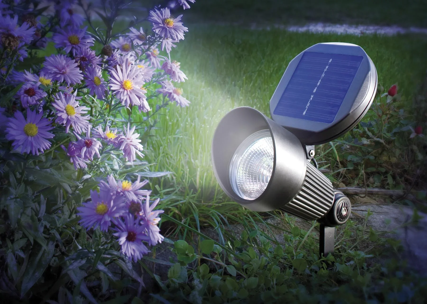 Solar Spotlight - 1